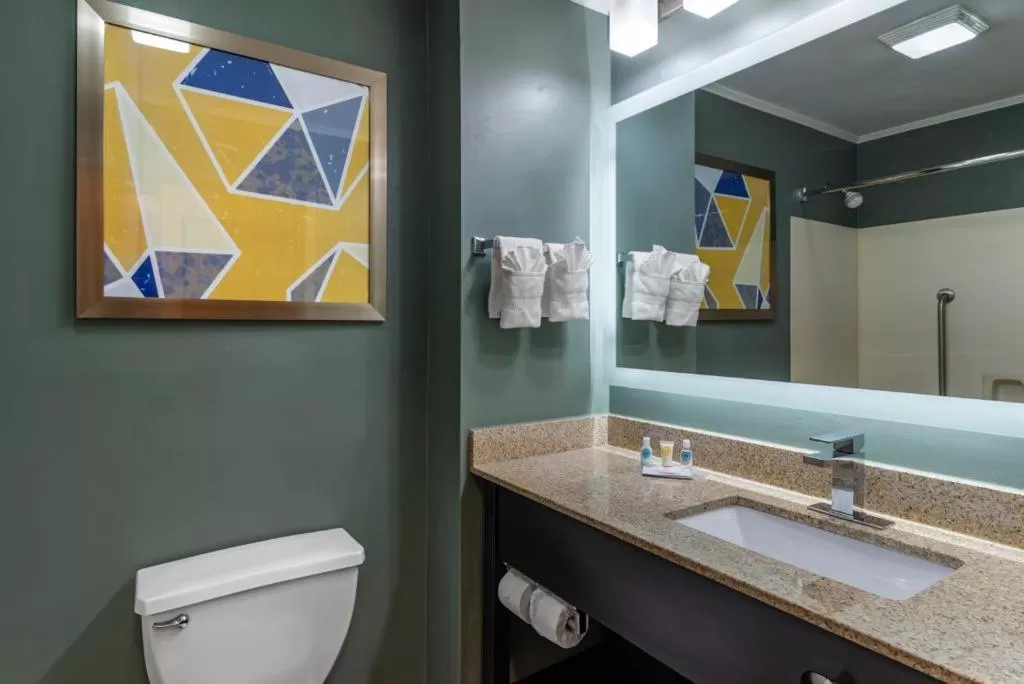 Bathroom in Comfort Inn & Suites at Stone Mountain