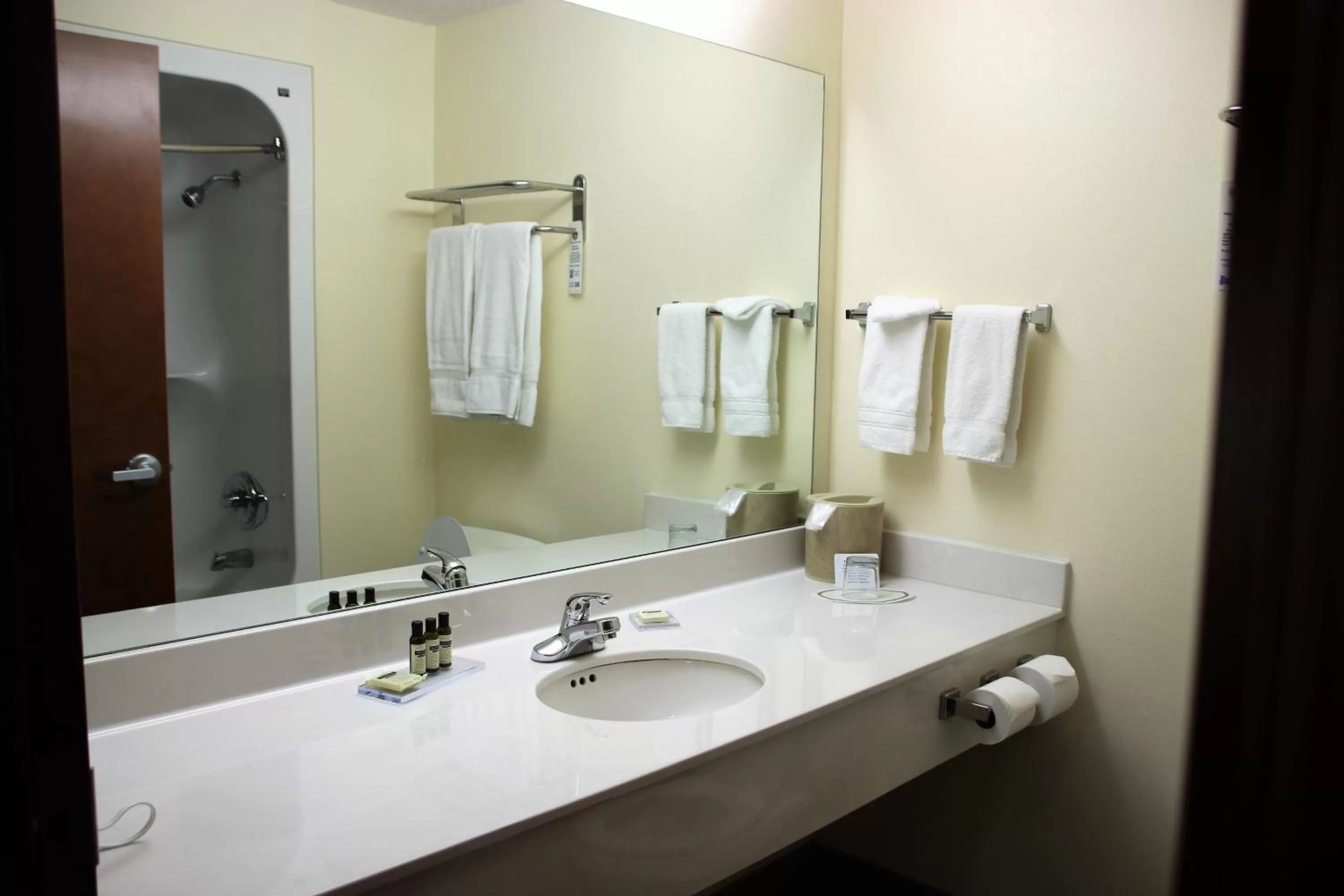 Bathroom in Hawthorn Suites by Wyndham Louisville East