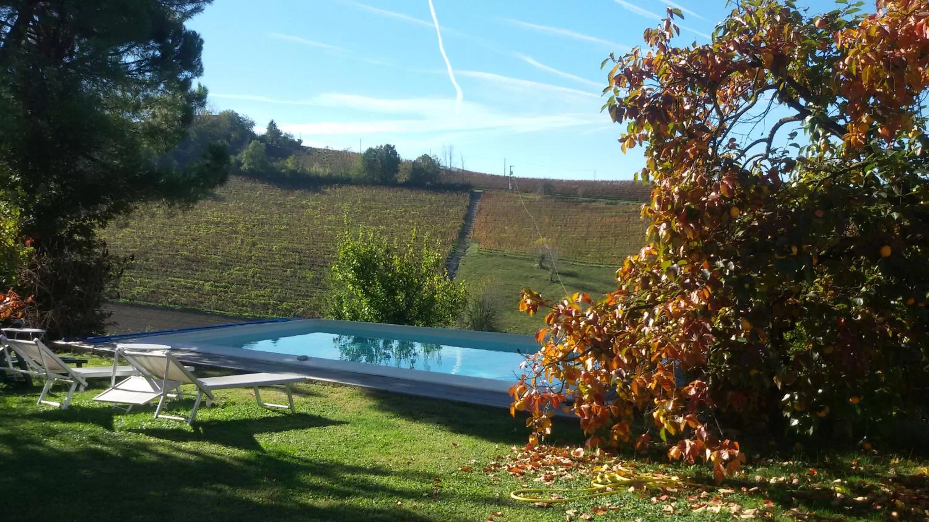 Pool view in Cascina Torello