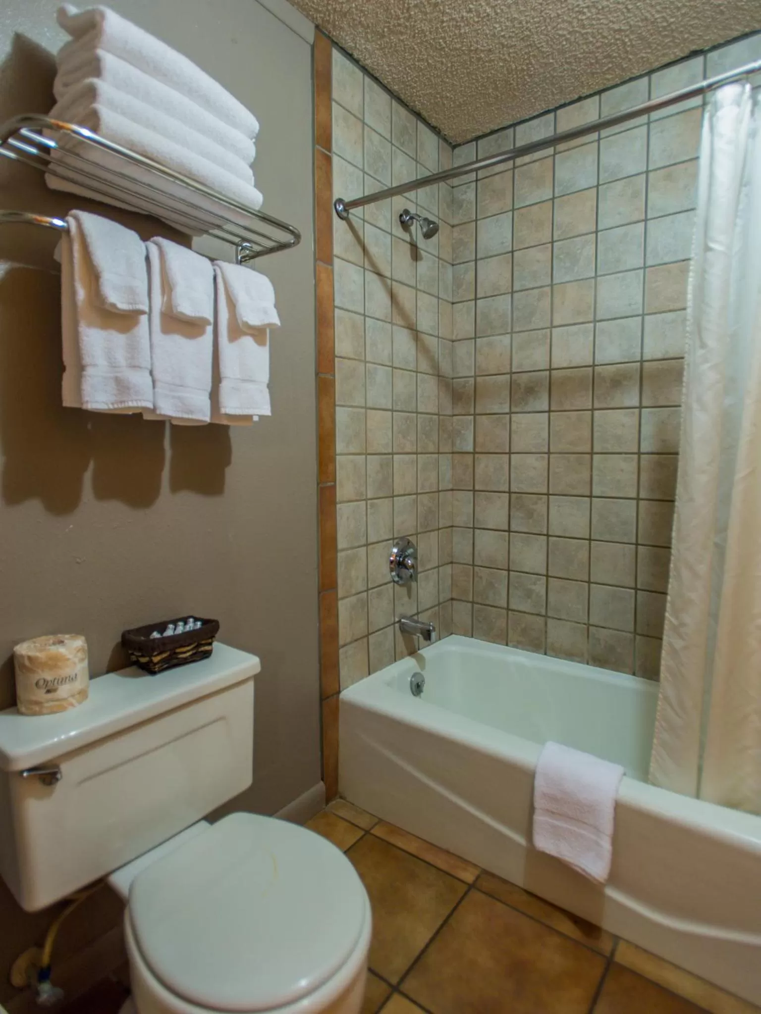 Toilet in Rustic Inn