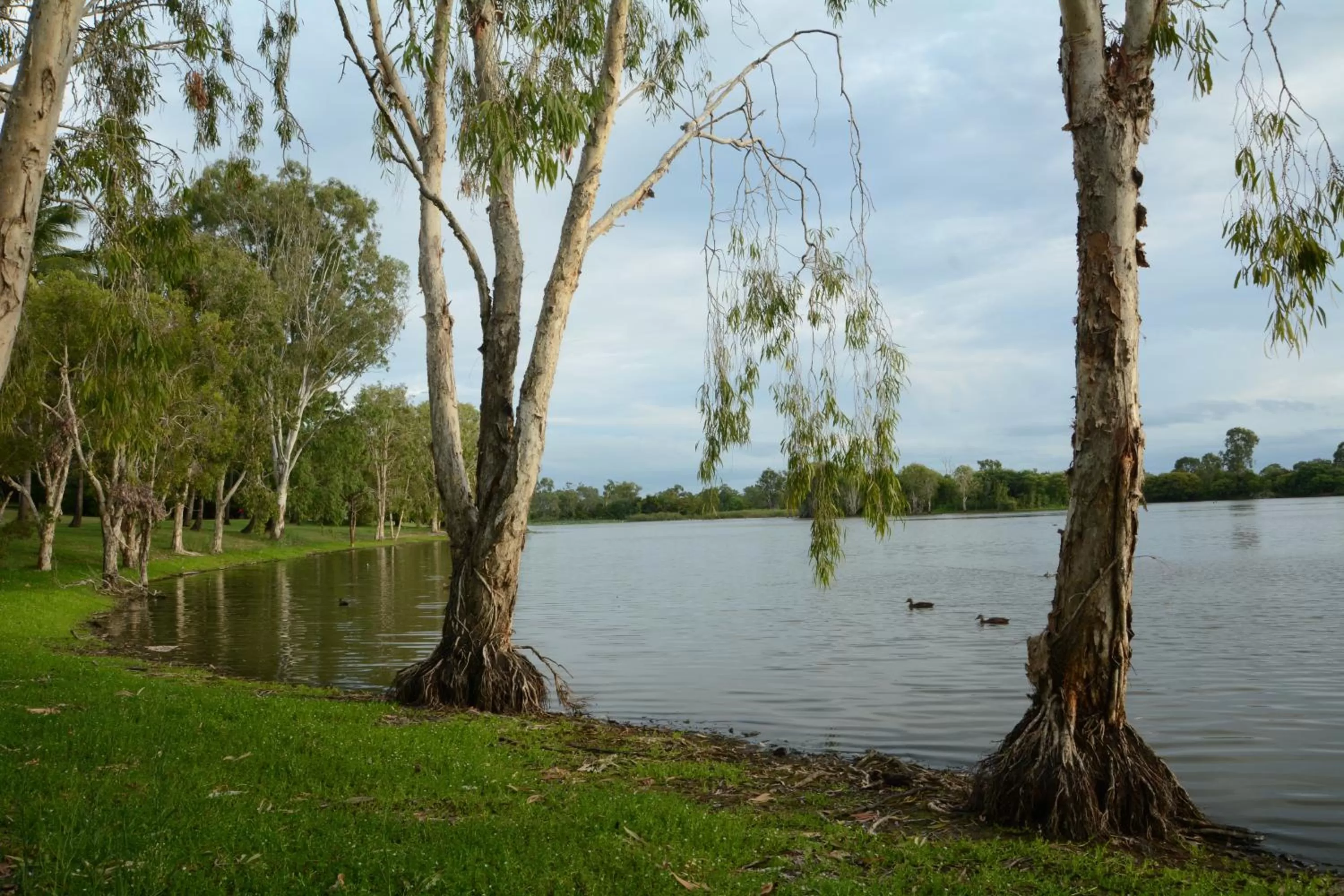 Nearby landmark in Rocky Gardens Motor Inn Rockhampton