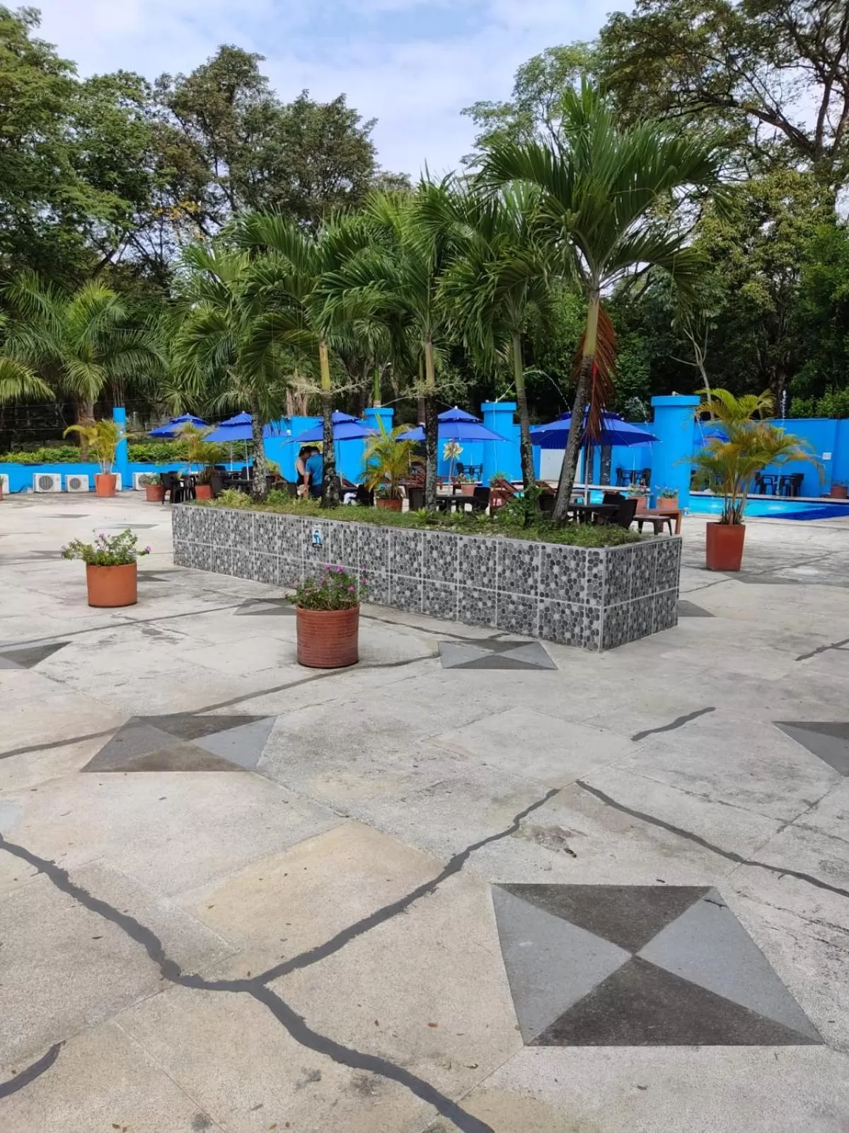 Swimming Pool in Hotel Miami Beach