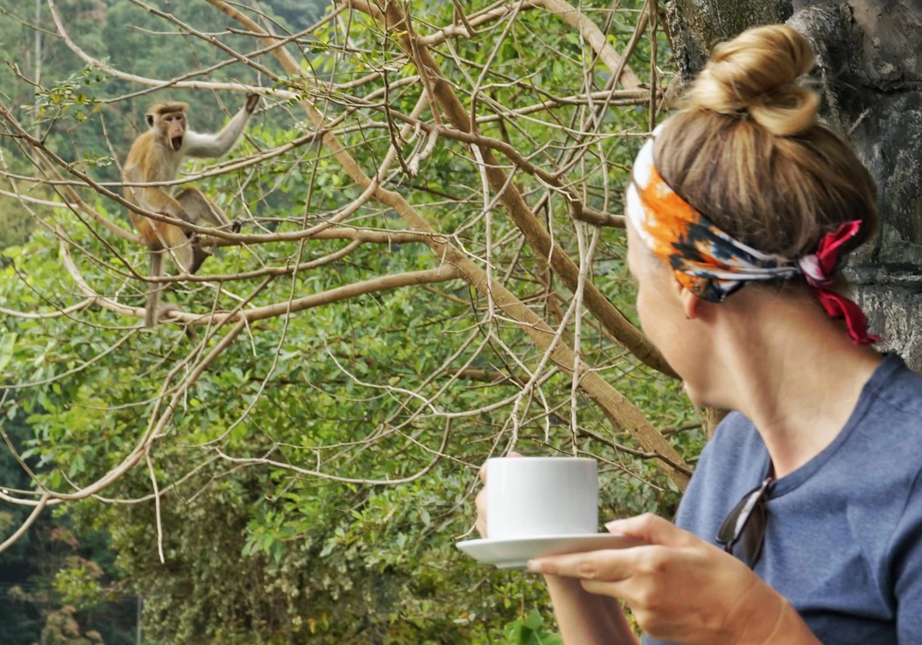 Other Animals in Ella Lucky Panoramic