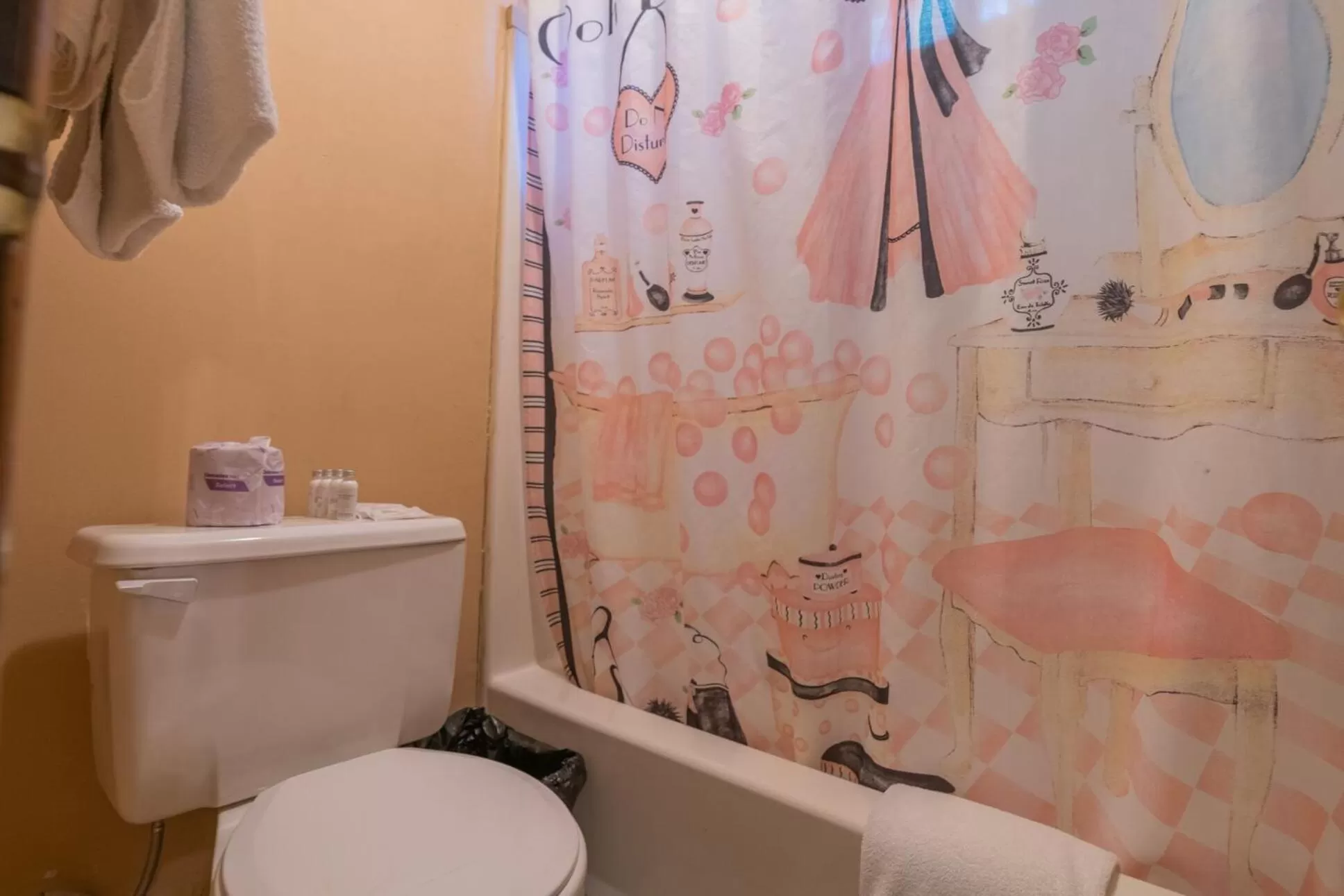 Bathroom in Black Forest Lodge