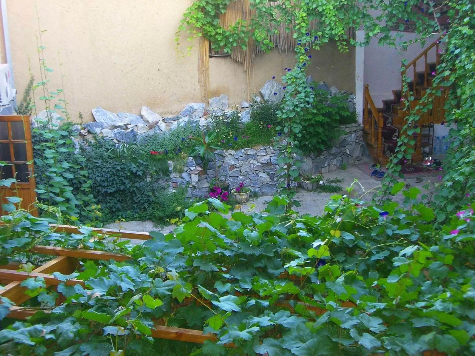 Facade/entrance, Garden in Jahongir Guest House