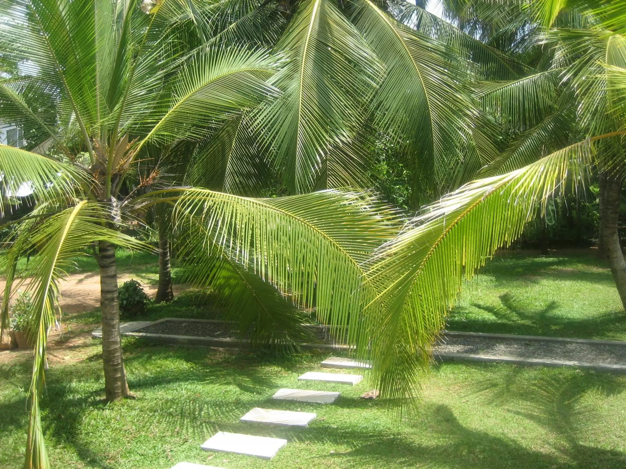 Day, Garden in Liyana Holiday resort