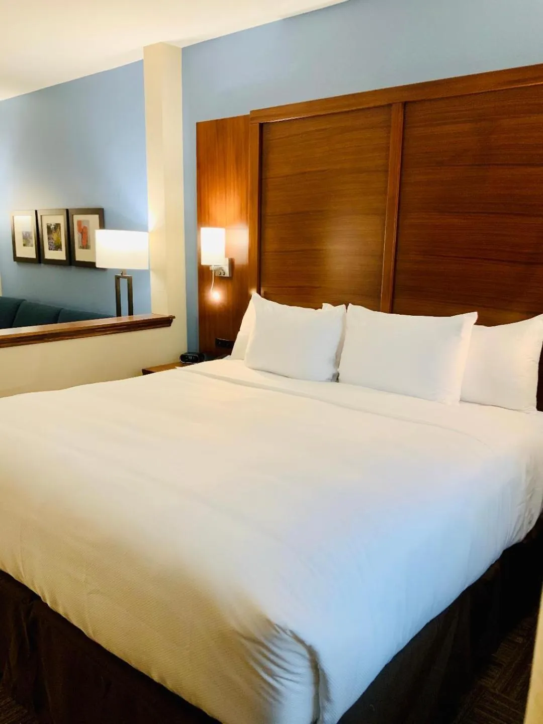 Bed in Comfort Suites Cedar Park - Austin Northwest