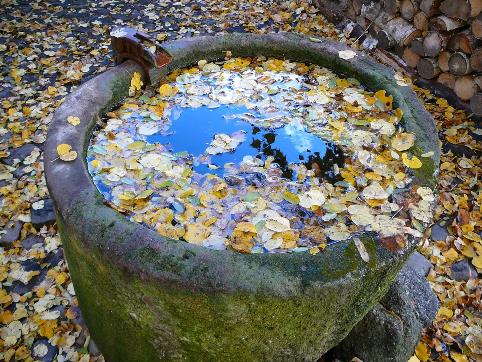 Garden in Romantik Hotel U Raka