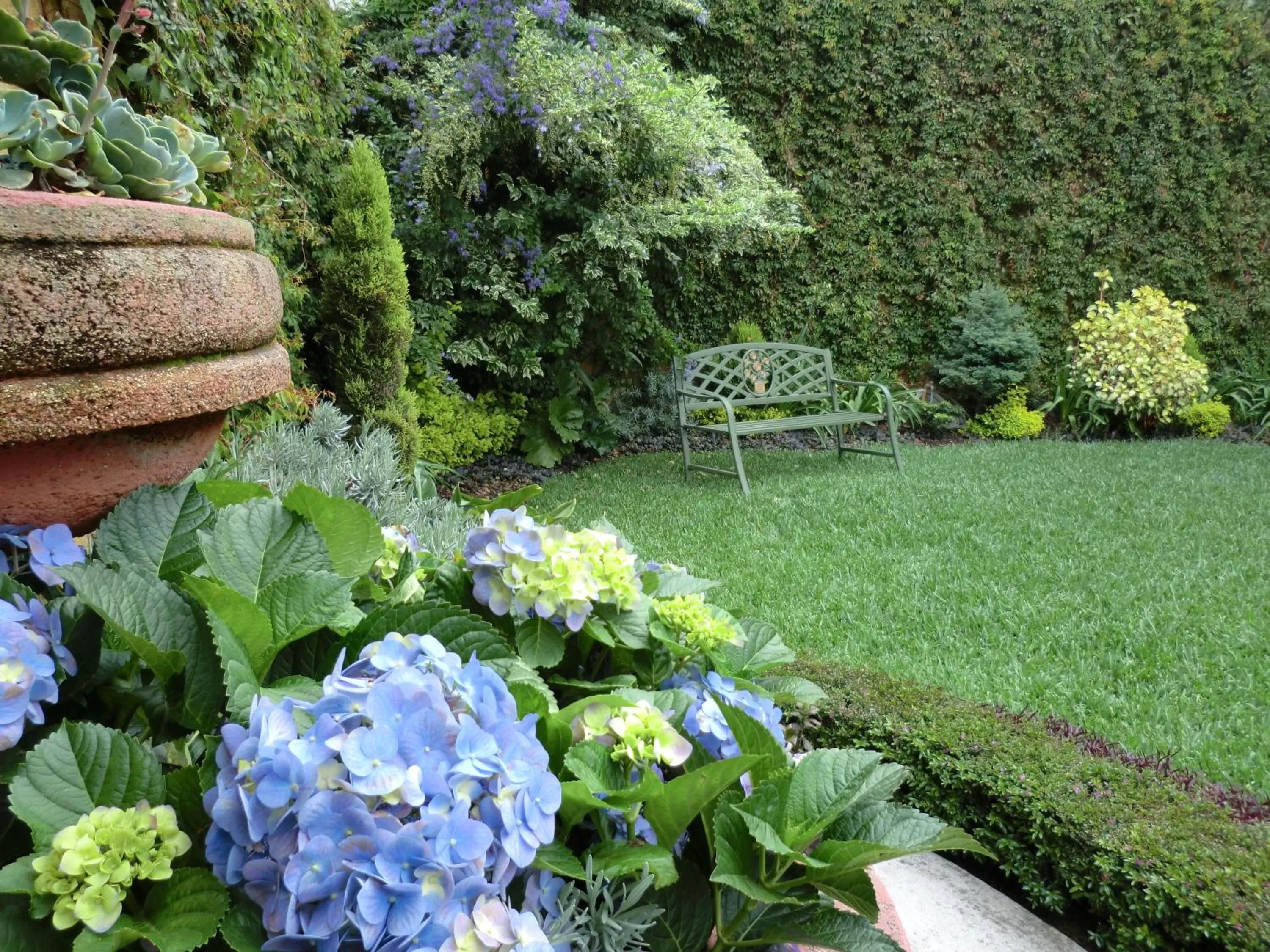 Garden in Hostal Villa Toscana
