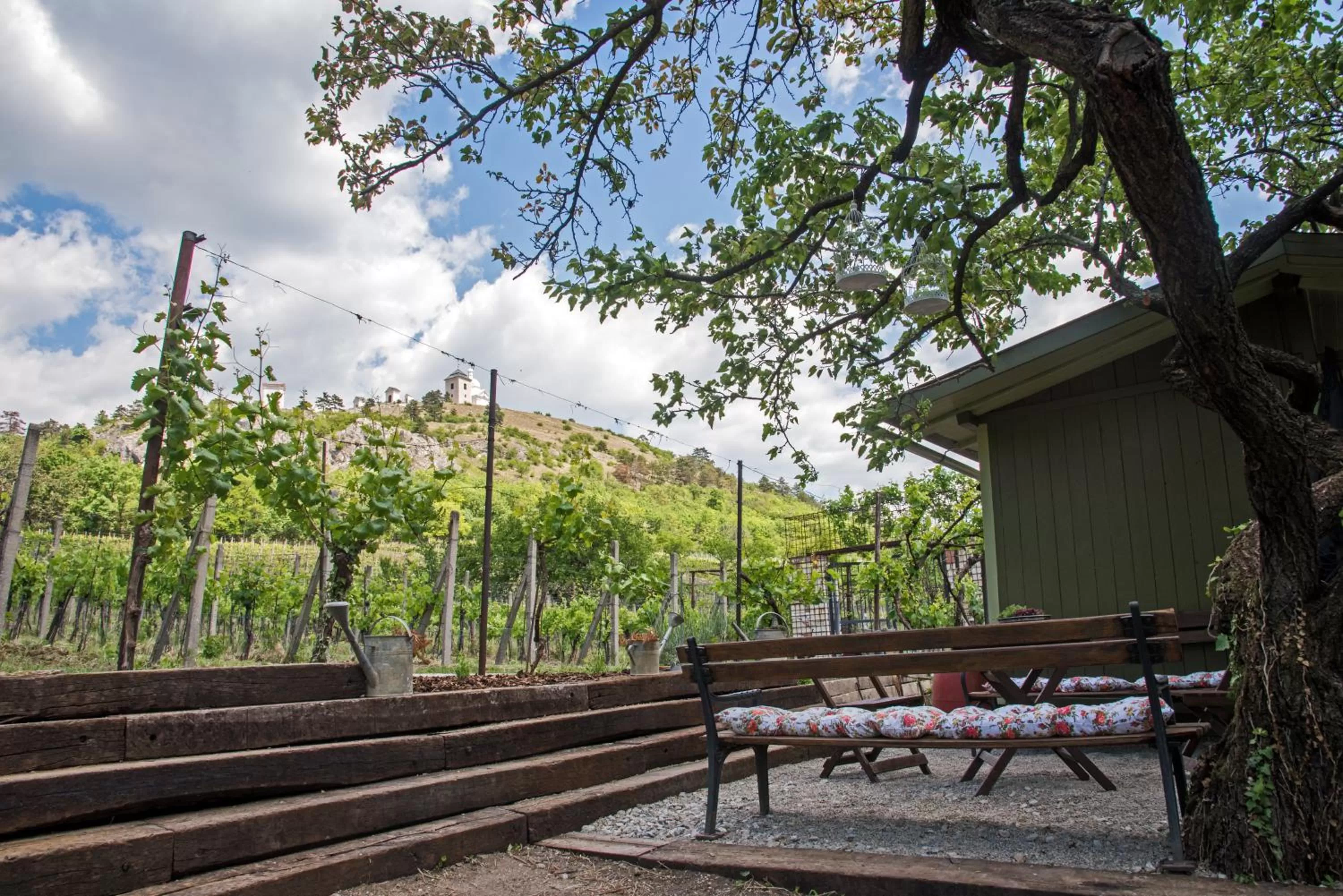 Natural landscape in Boutique Hotel Golf Garni