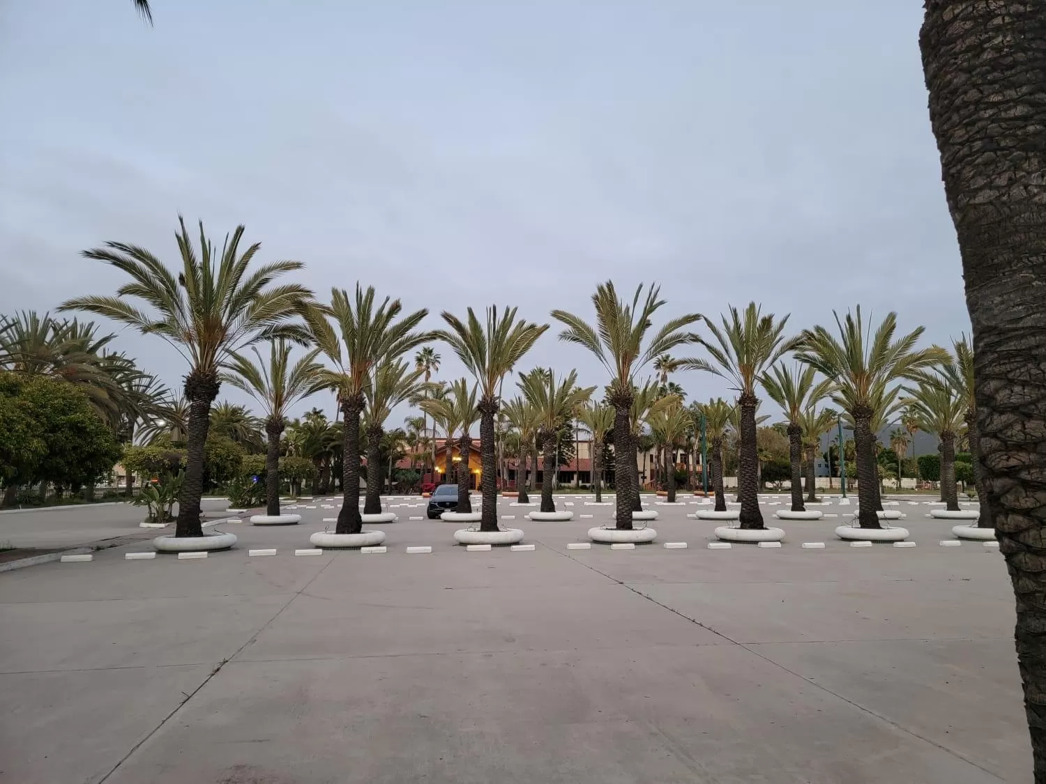 Area and facilities in Hotel Paraiso Las Palmas