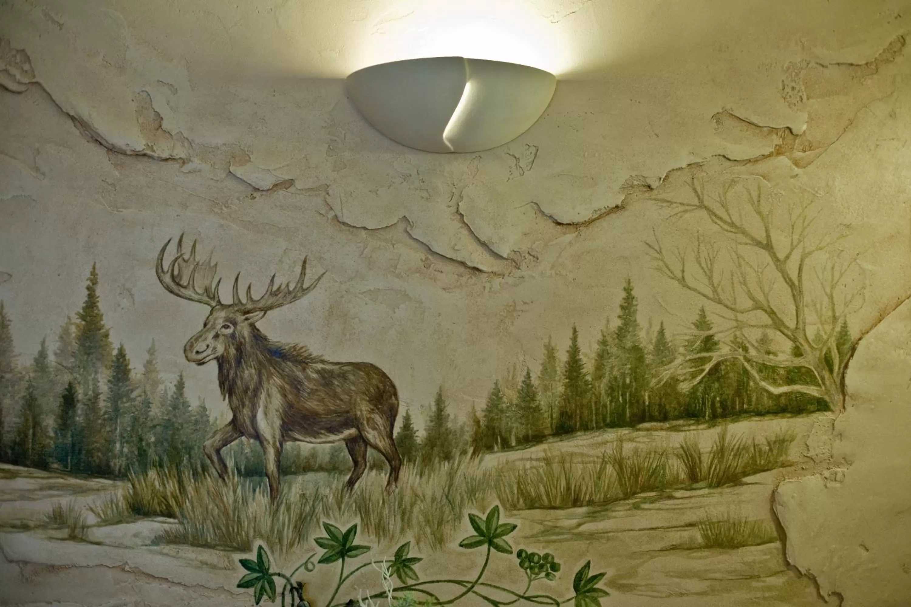 Leśny Dworek Zakopane