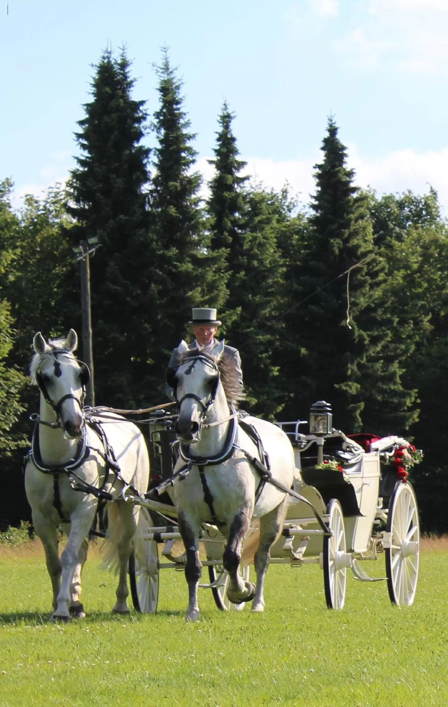 Activities, Horseback Riding in Waldgasthof Bad Einsiedel