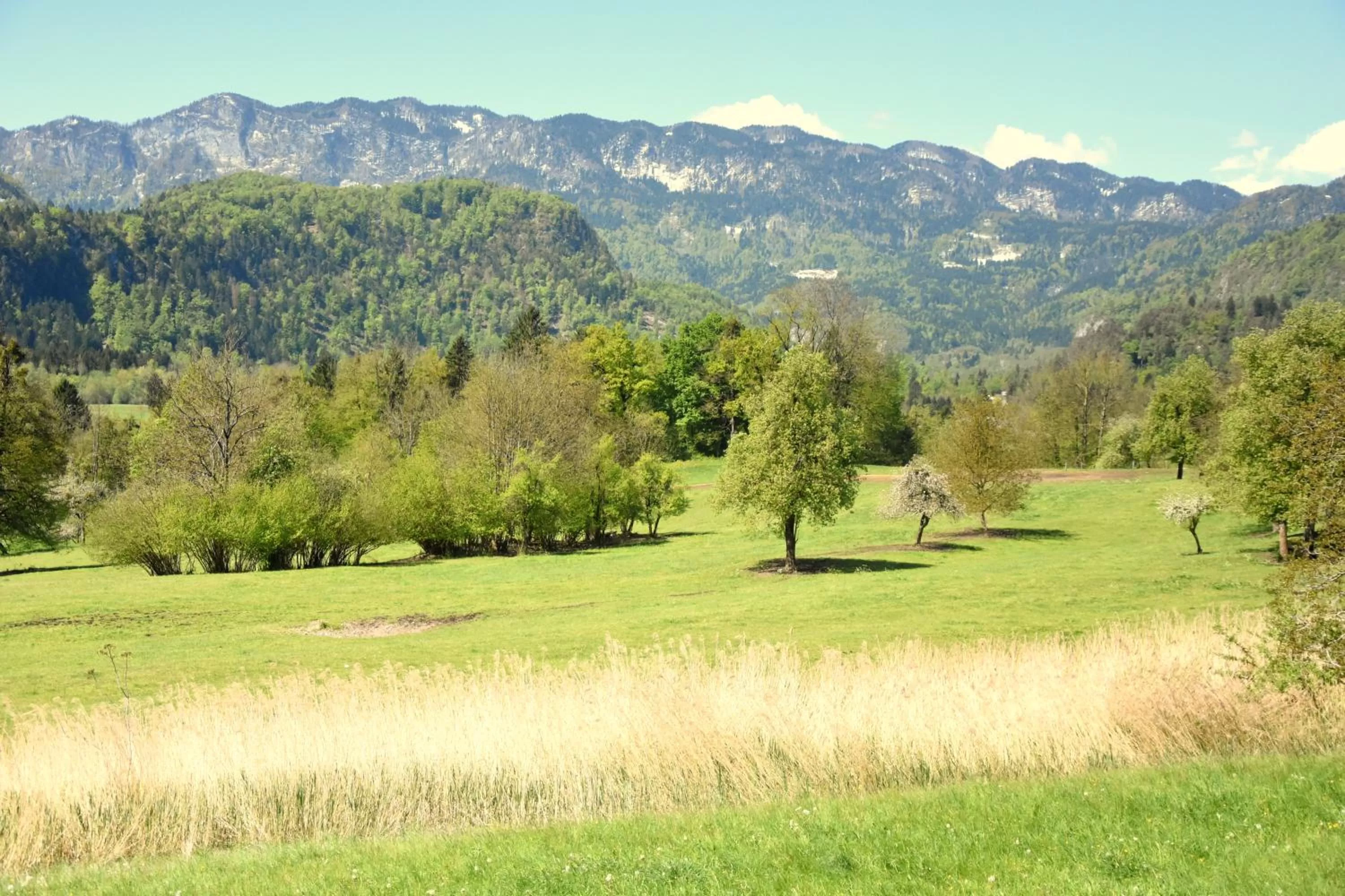 Patio in Nature Hotel Lukanc