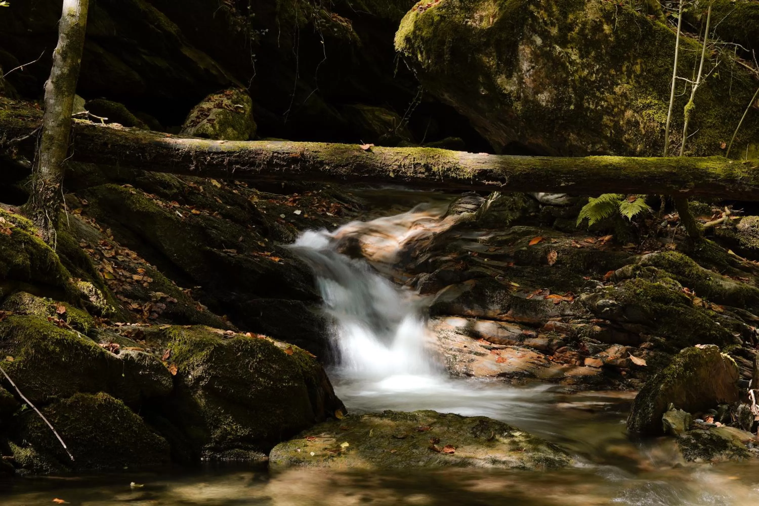 Nearby landmark in Angelats Hotel - A Signature Boutique Hotel