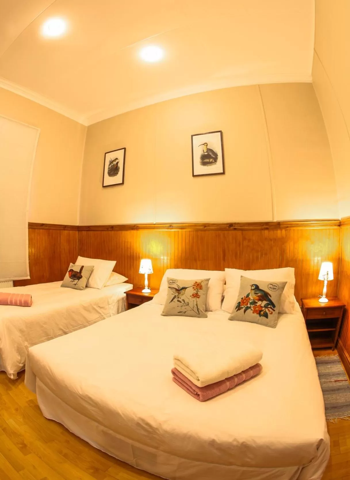 Bedroom, Bed in Hotel Albatros