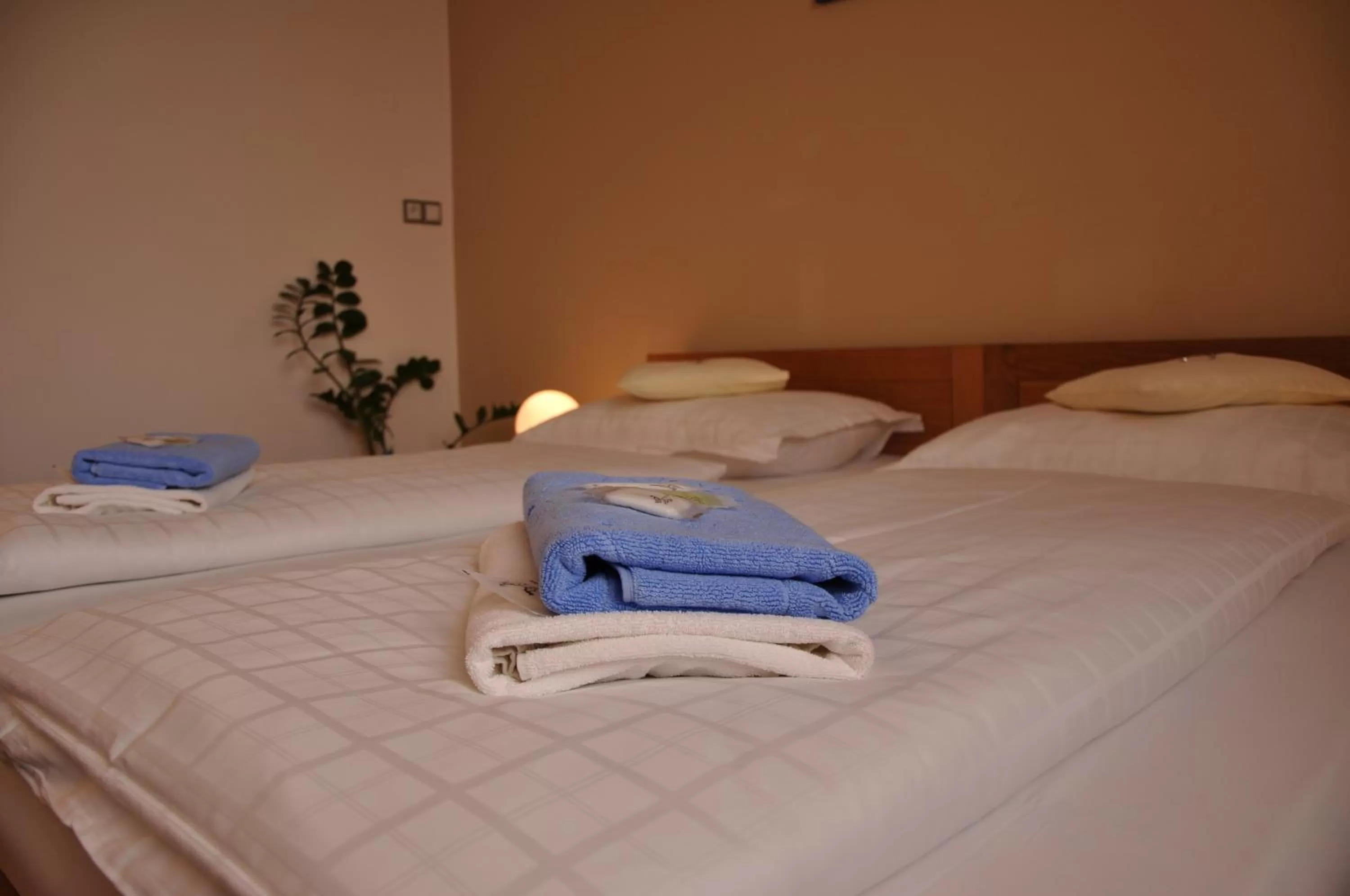 Bedroom, Bed in Hotel Lions Plzen