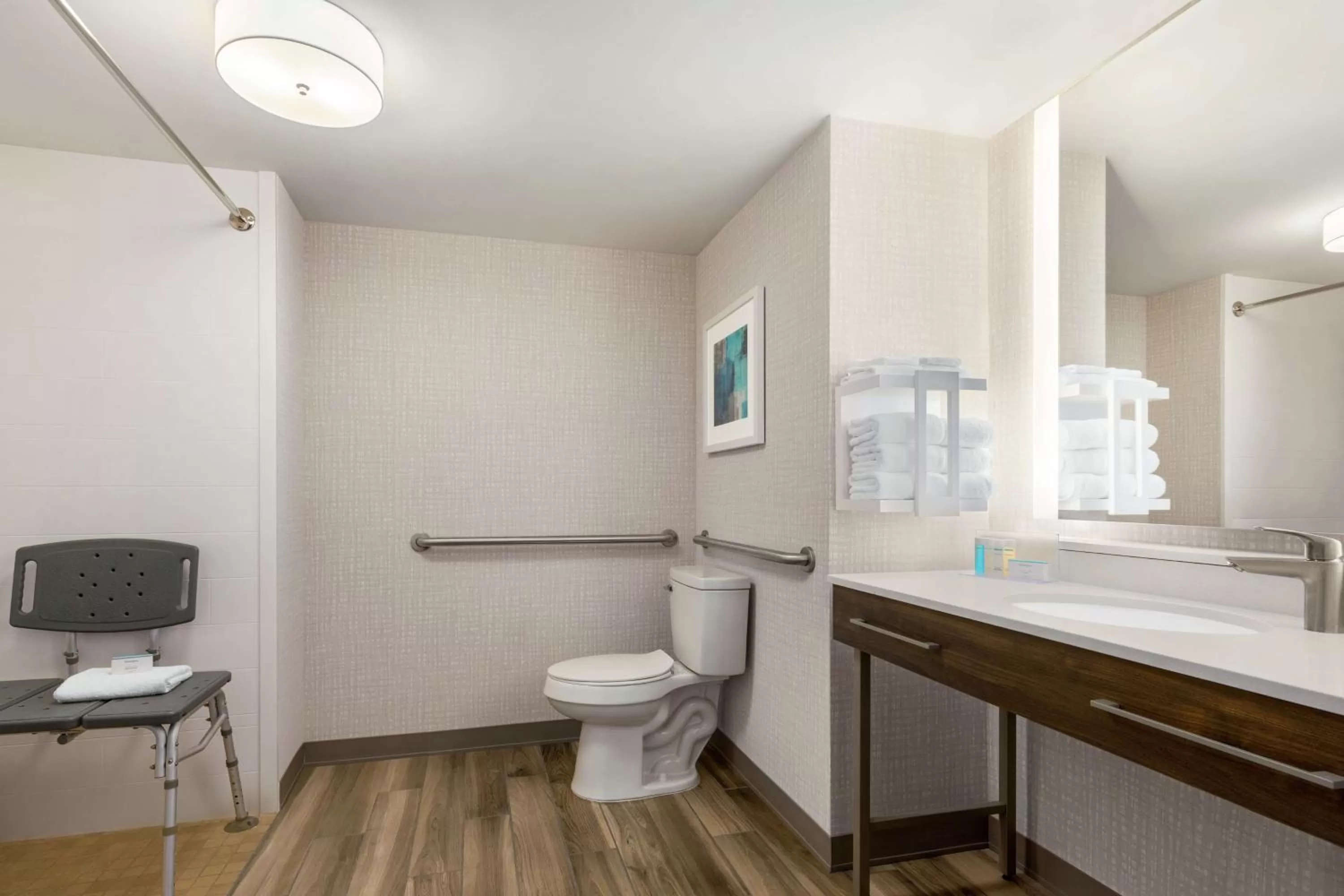 Bathroom in Hampton Inn & Suites Fruitland