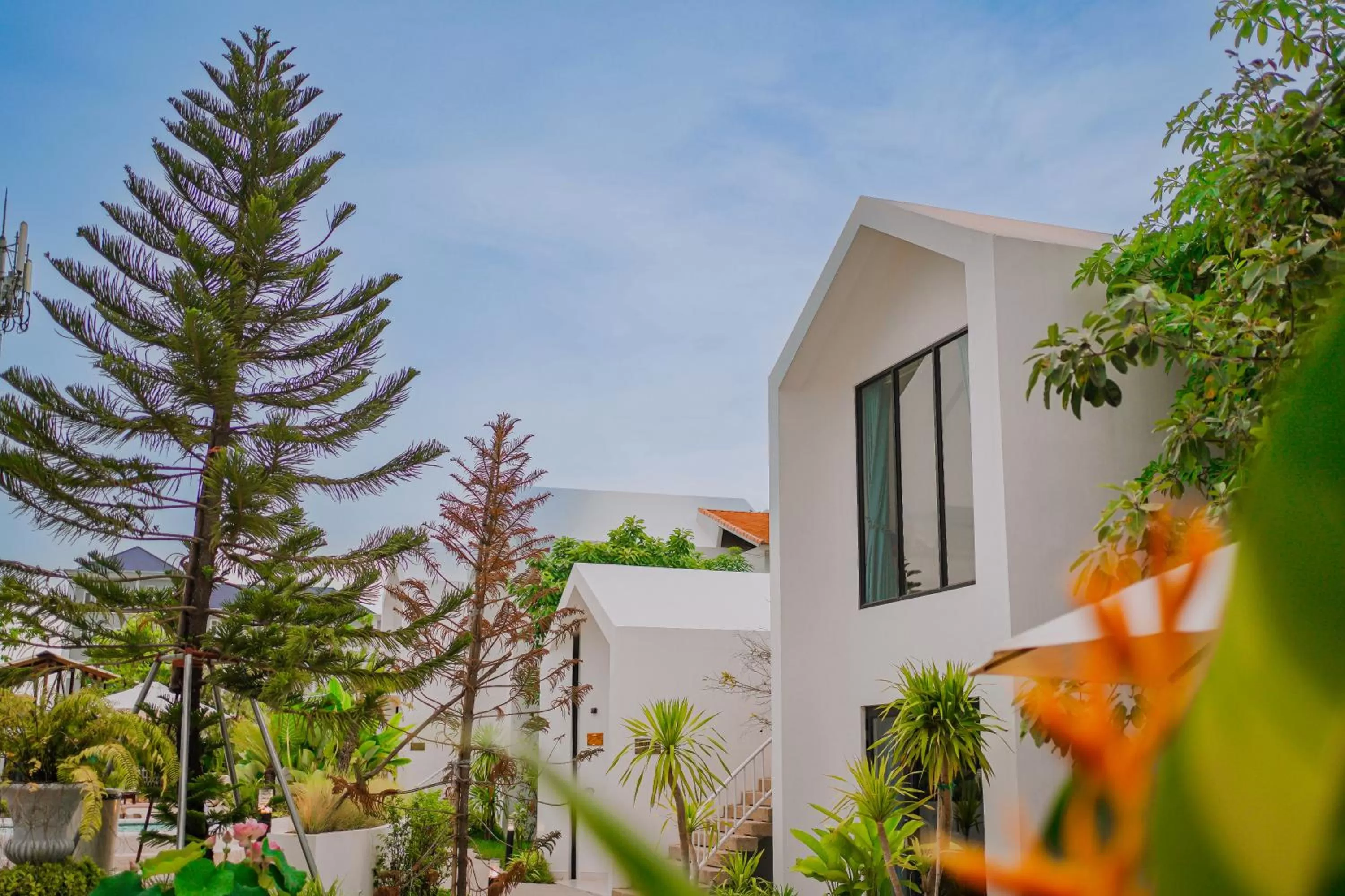 Property building in Montagne Residence