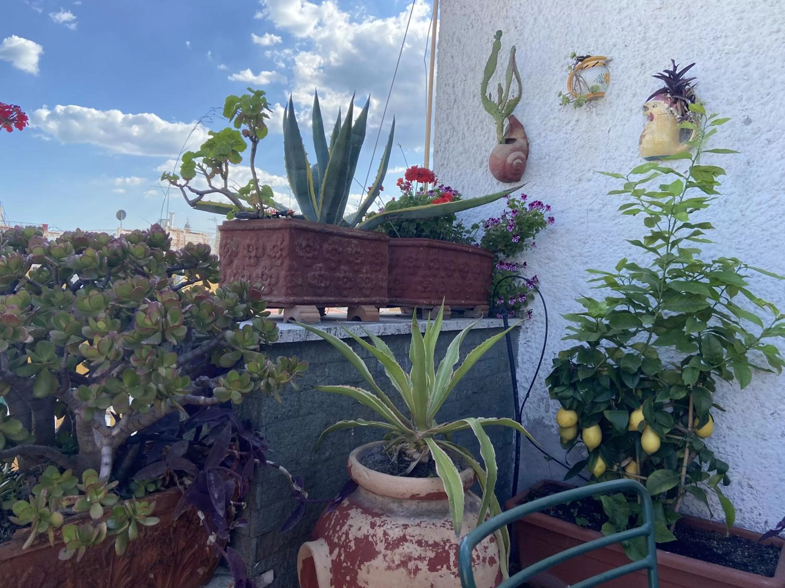 Balcony/Terrace in Up Hotel