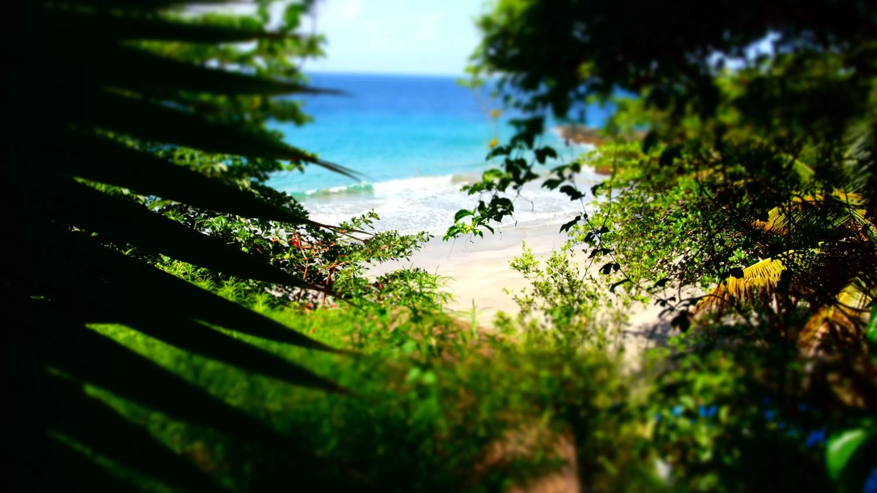 Natural landscape in Half Moon Blue Hotel