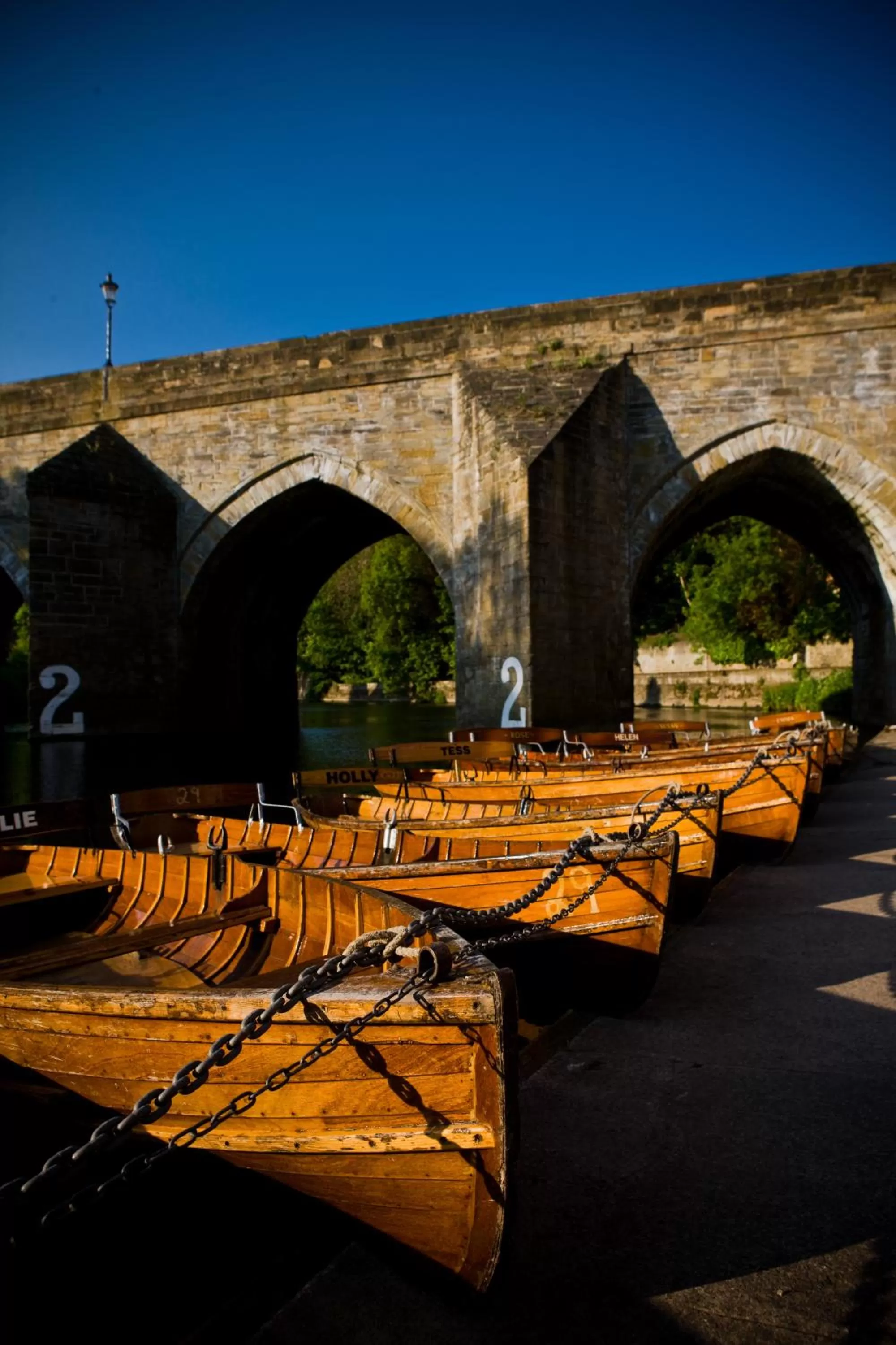 Natural landscape in Radisson Blu Hotel, Durham