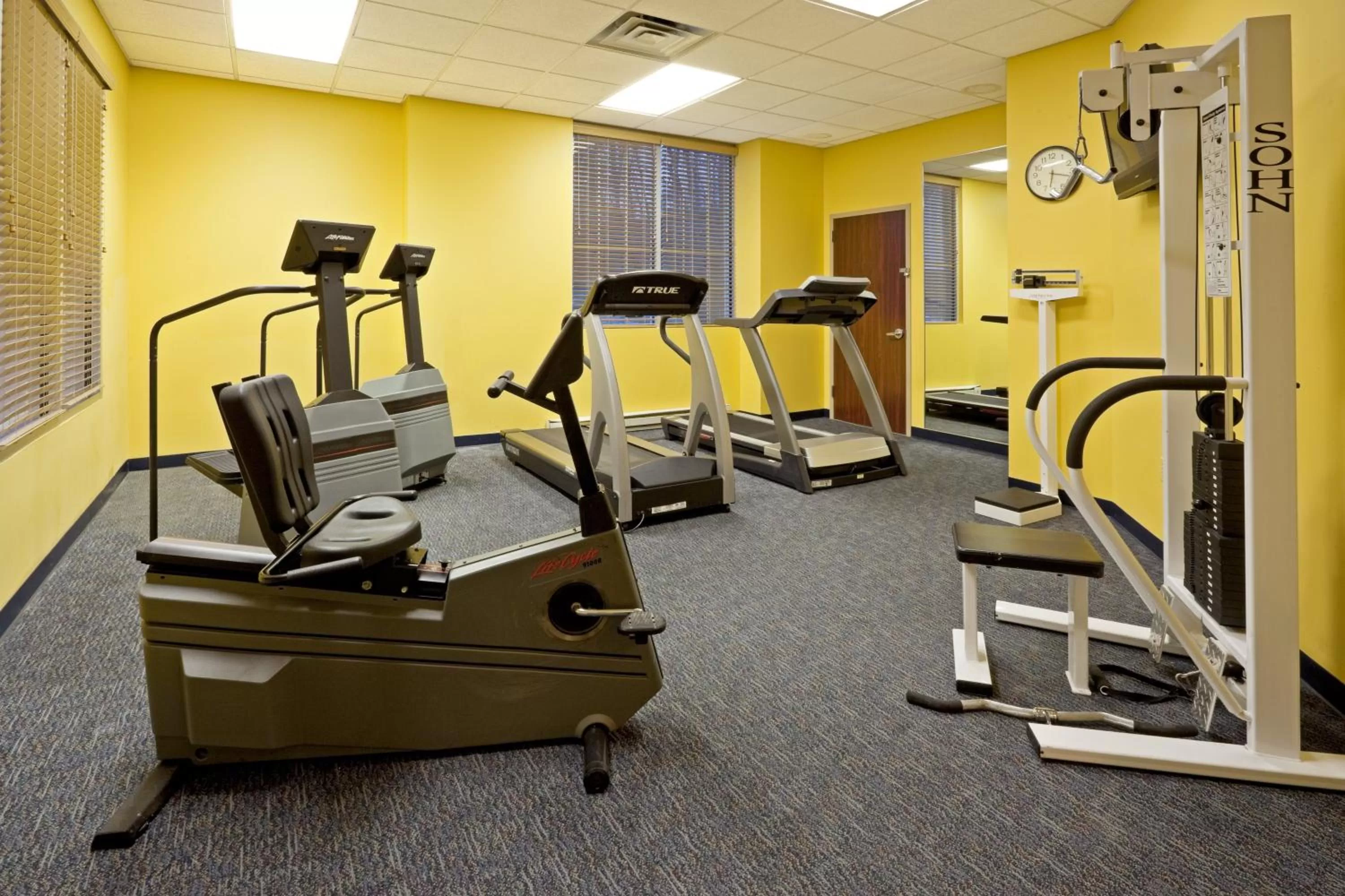 Spa and wellness centre/facilities in Holiday Inn Budd Lake - Rockaway Area by IHG