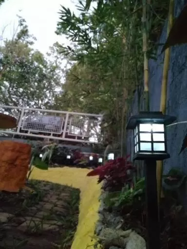 Garden in Purple Orchid Bed and Breakfast