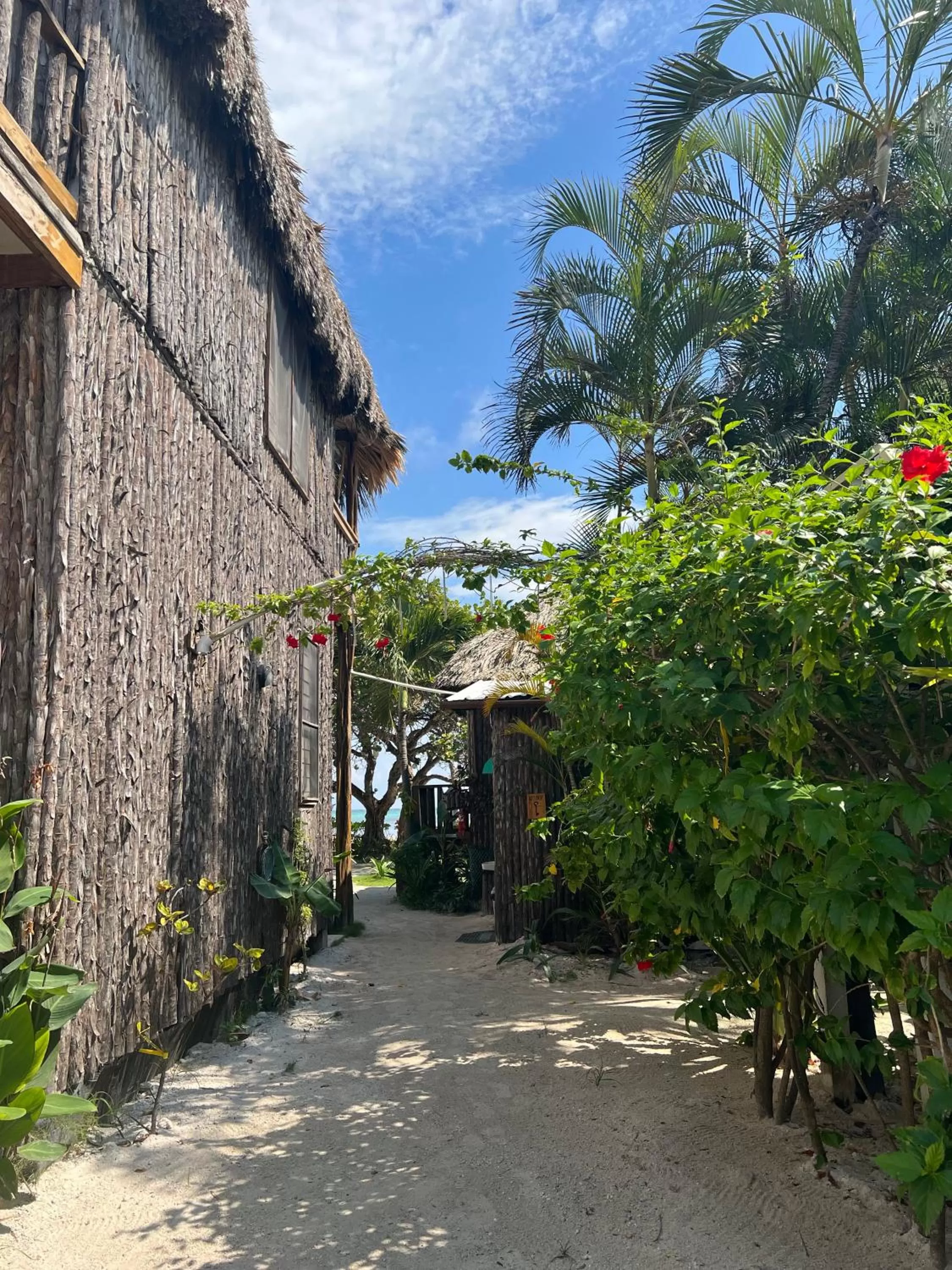 Property building in Hotel Del Rio