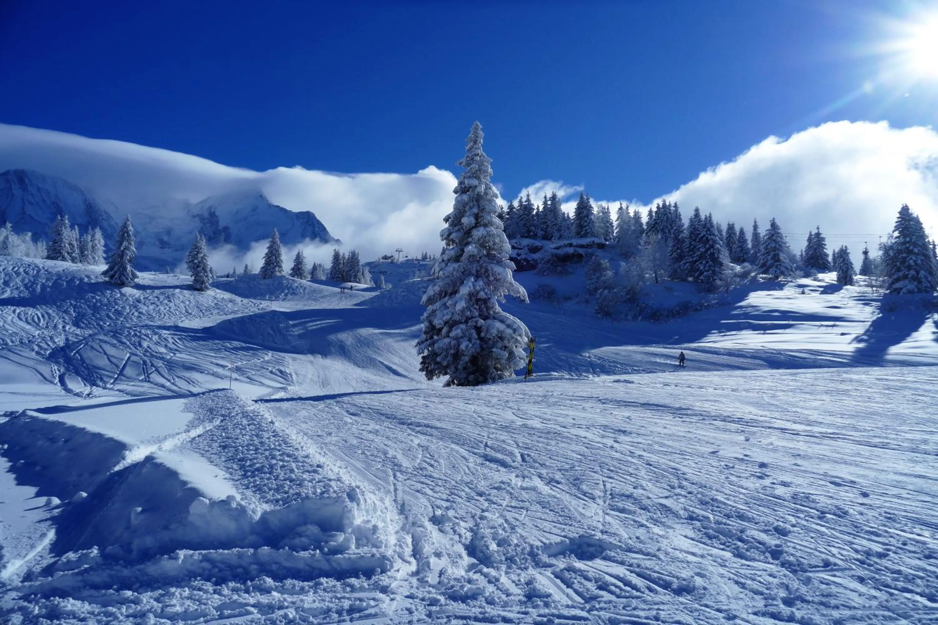 Skiing in Chalet Hôtel du Bois