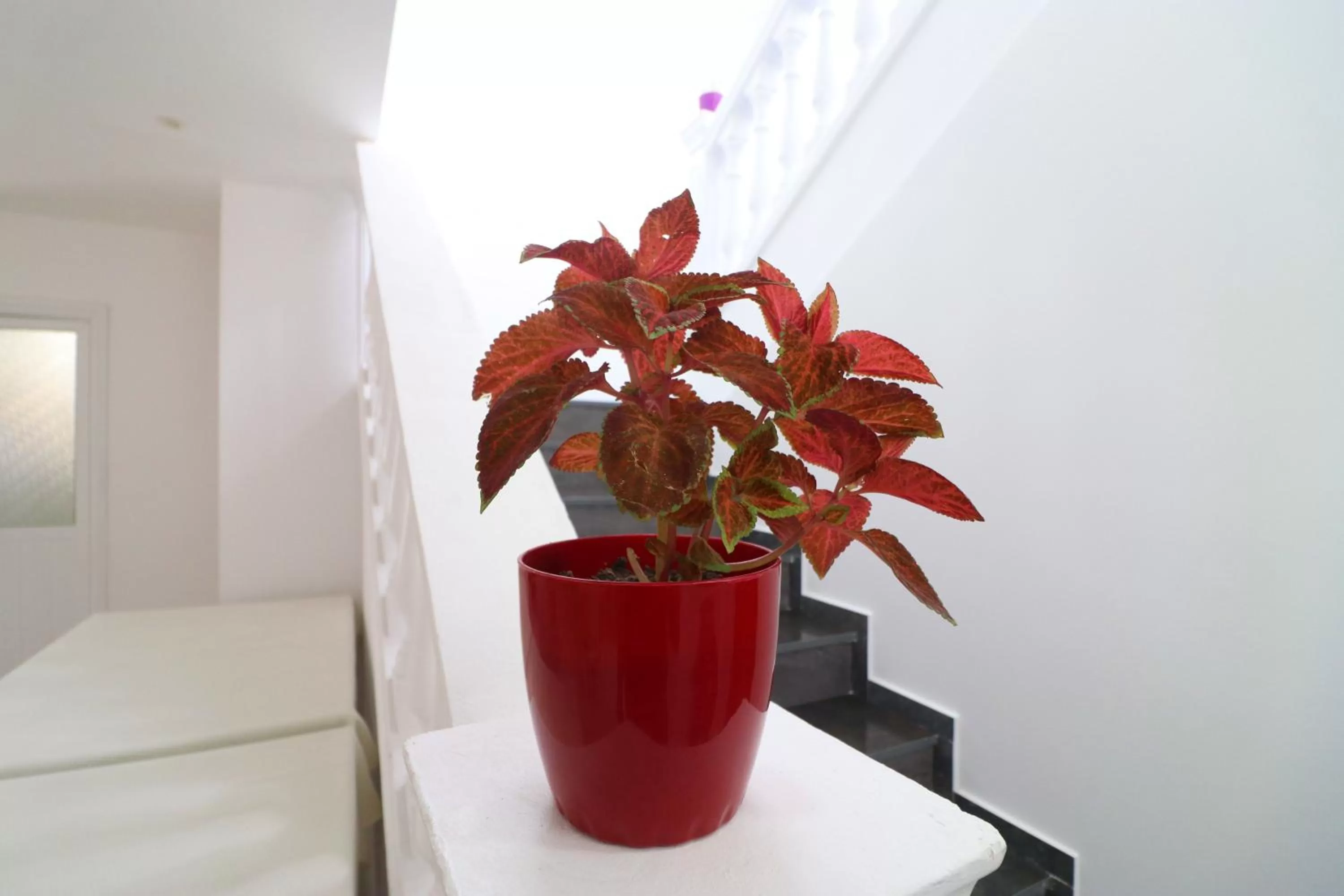 Property building in HOTEL KRISTAL