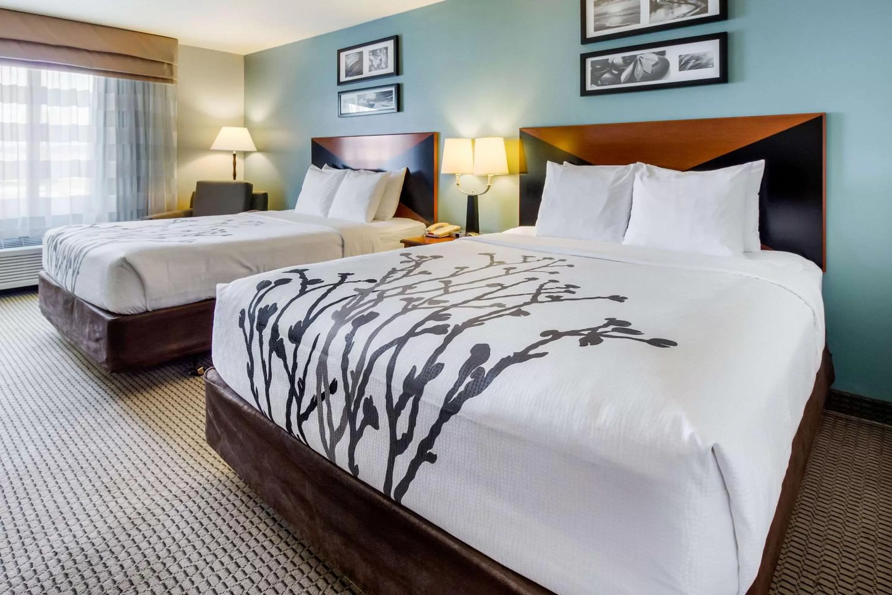 Photo of the whole room, Bed in Sleep Inn & Suites