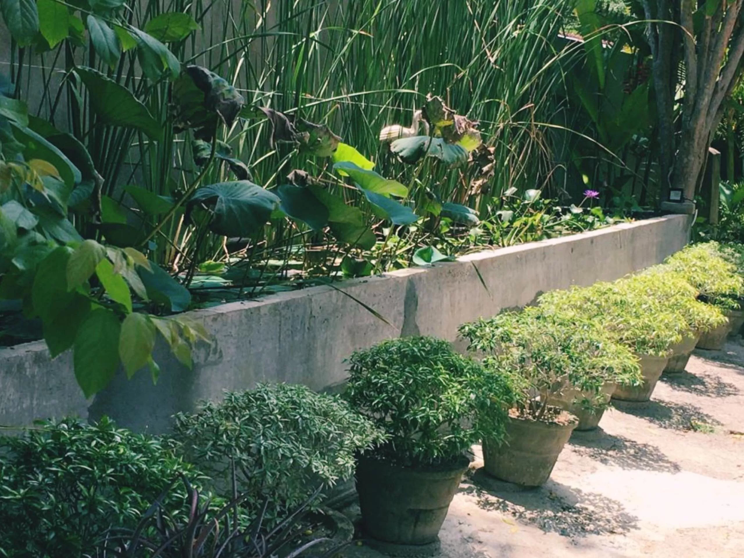 Seyara Holiday Resort