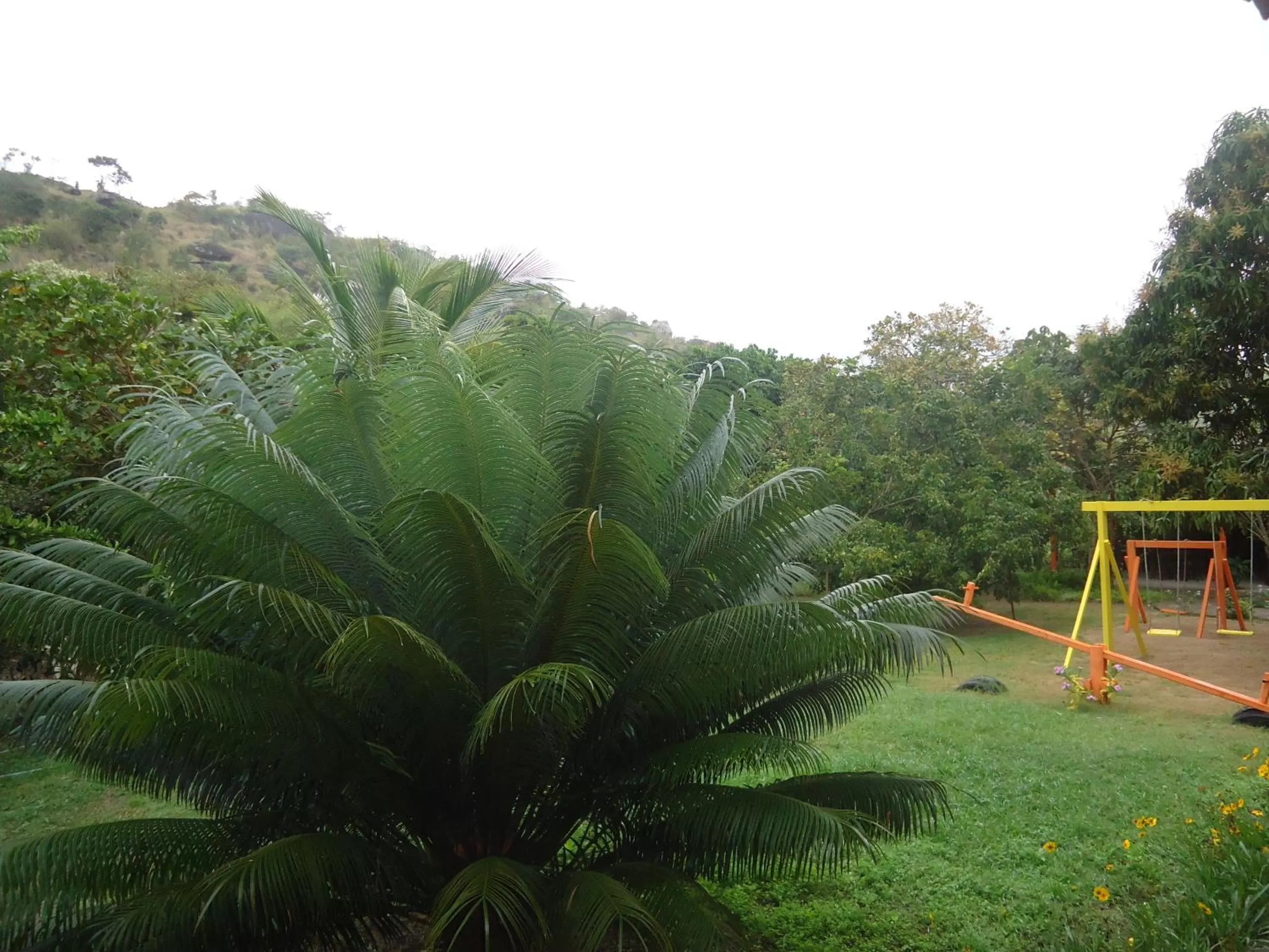 Garden in Pousada Aba da Serra