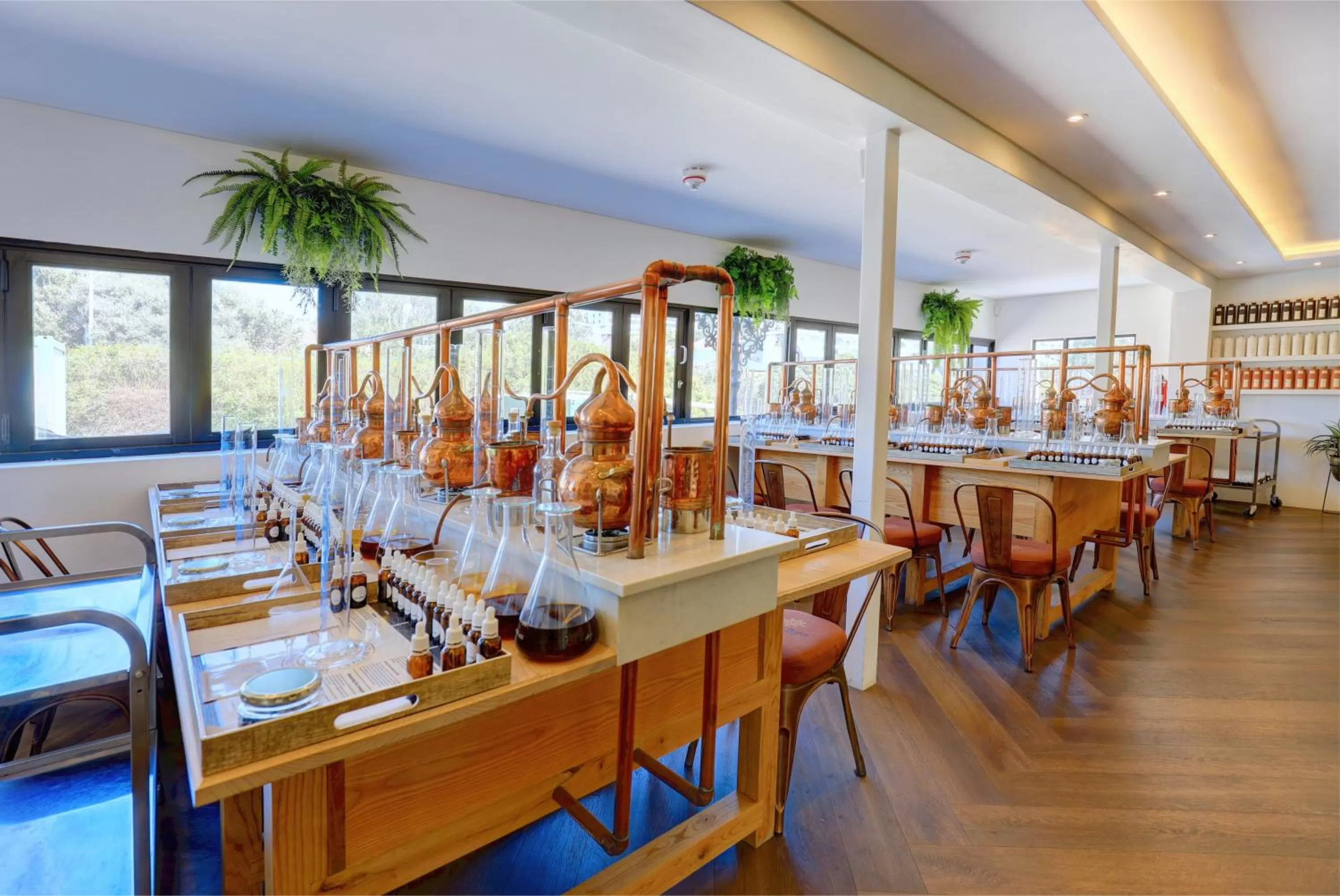 Activities in Protea Hotel by Marriott Mossel Bay