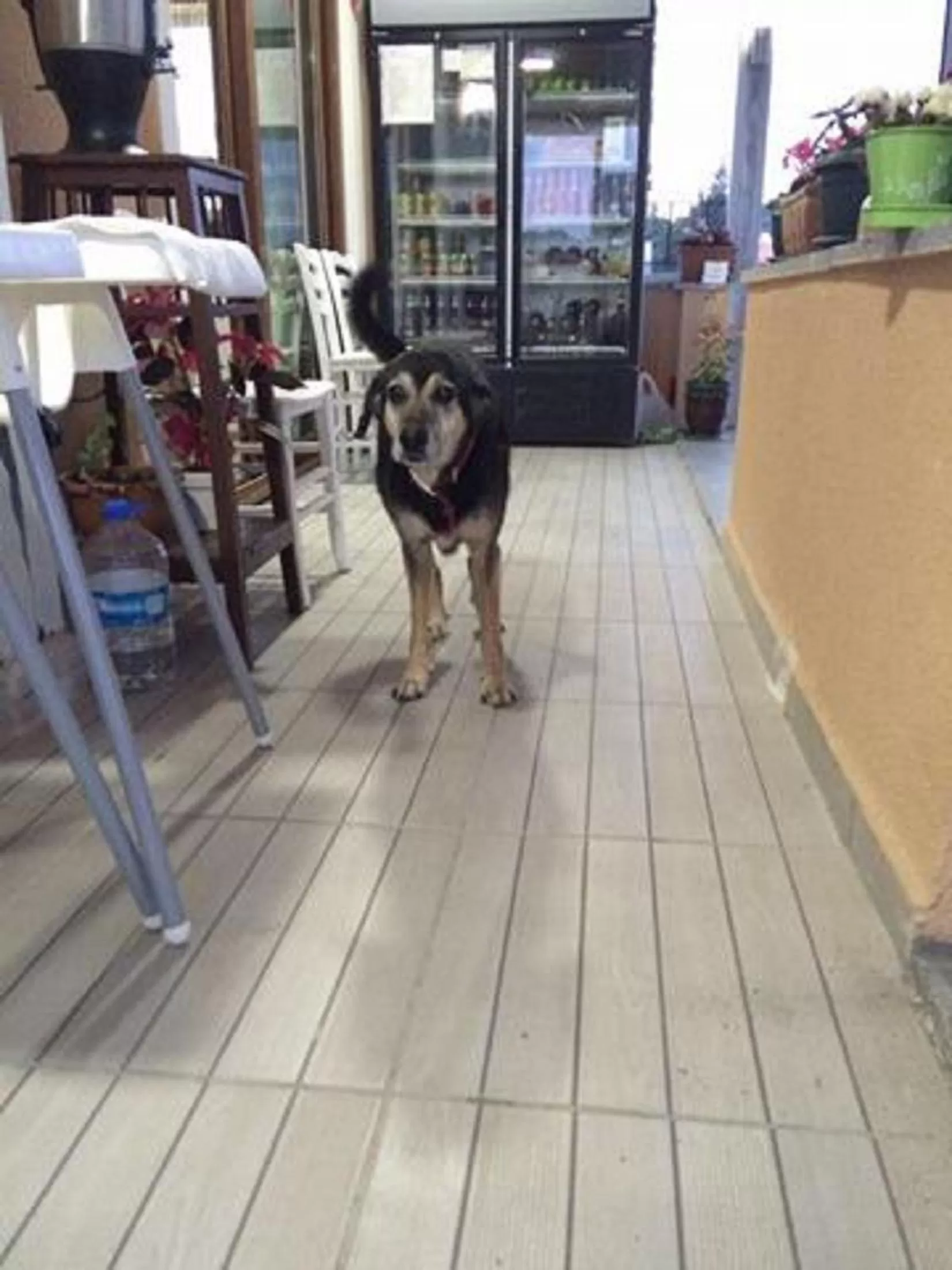 Day in Ede Apart Otel