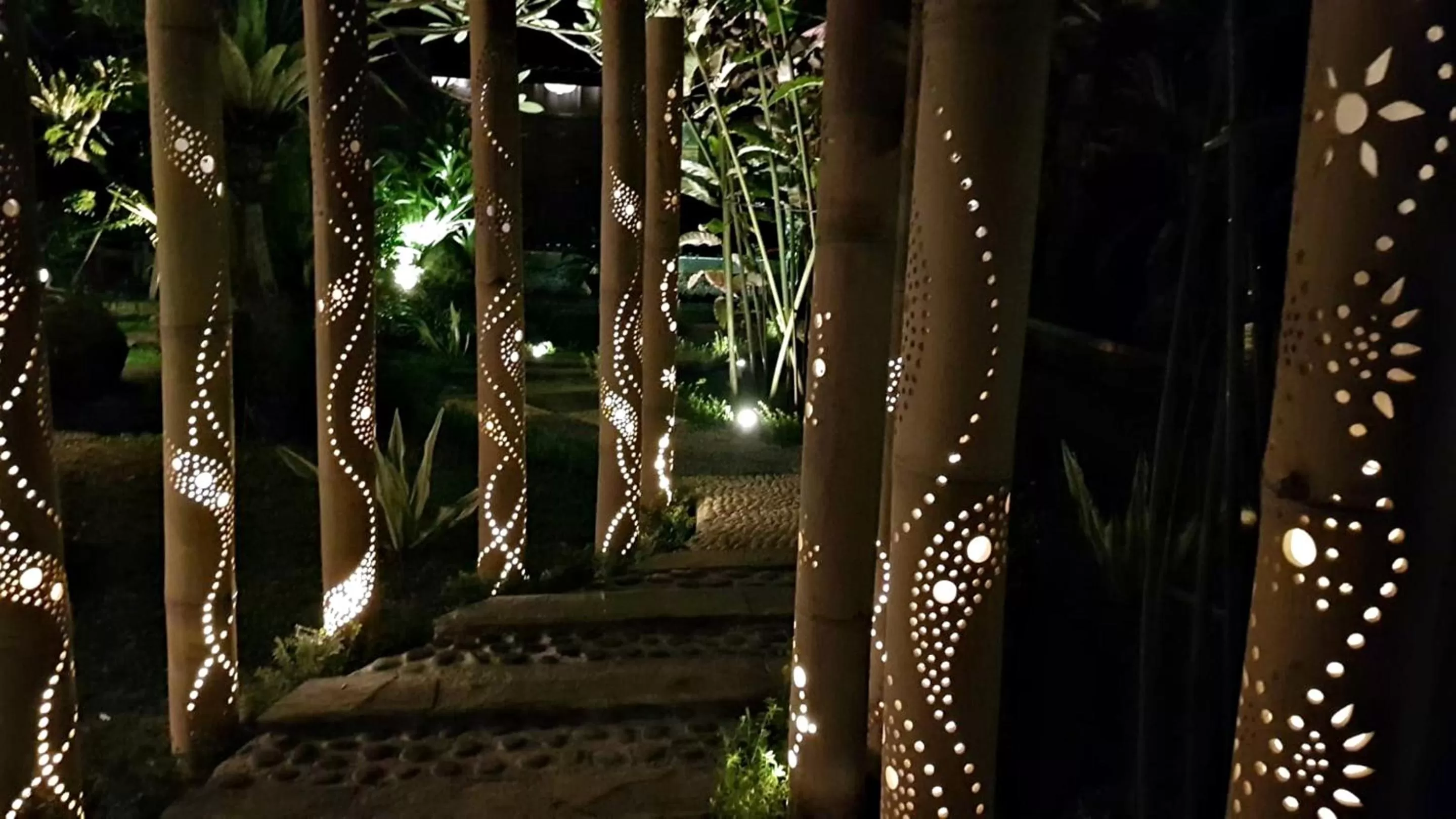 Night in Canvas Escape Resort