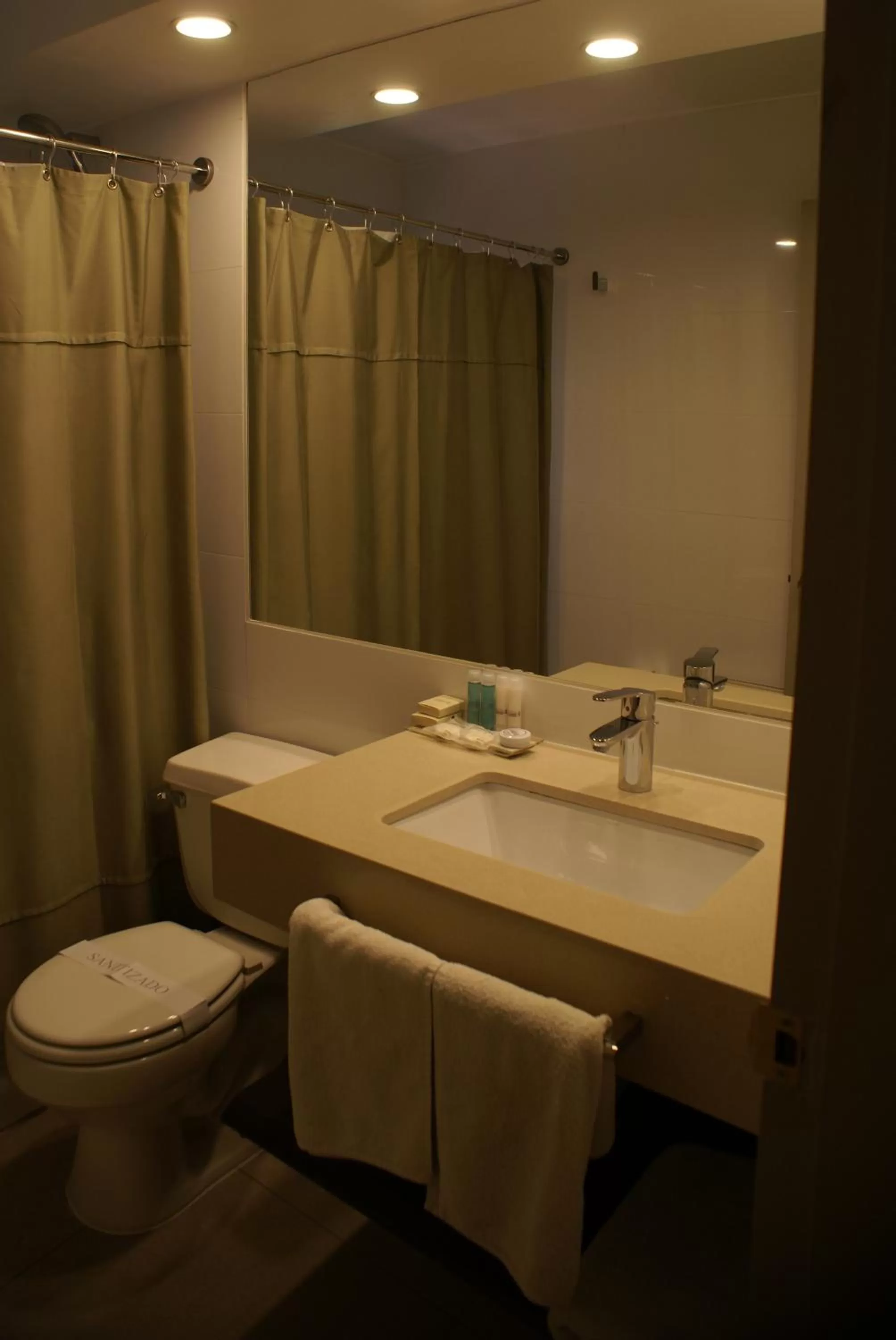 Bathroom in Hotel Los Españoles