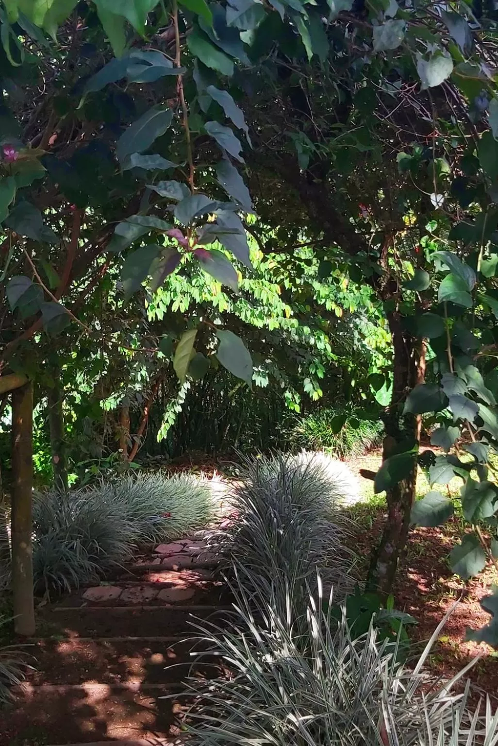 Natural landscape in Balsora Hotel Boutique