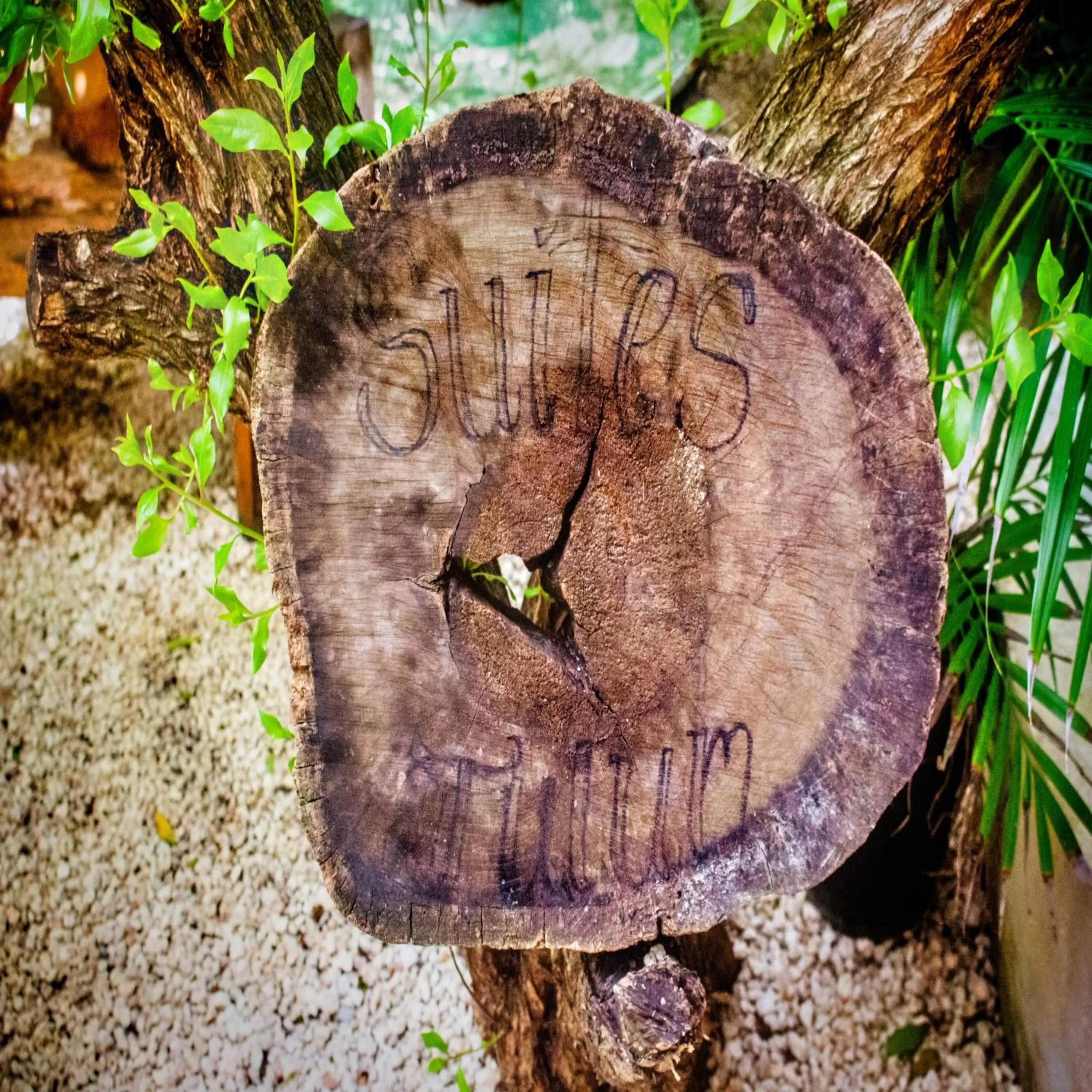 Property logo or sign in Suites Tulum