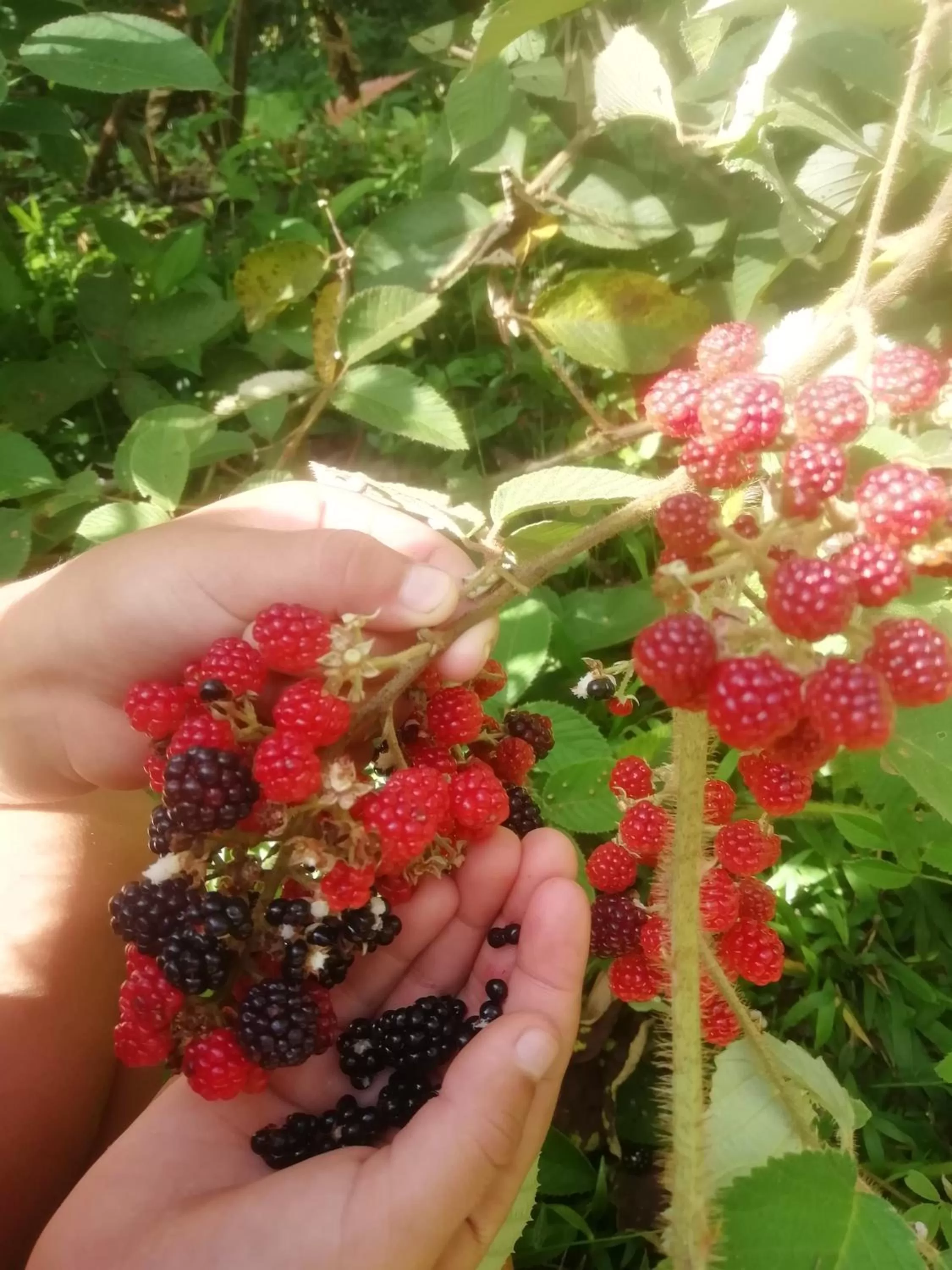 Spring in Hotel Rivel - Adventure & Nature Retreat