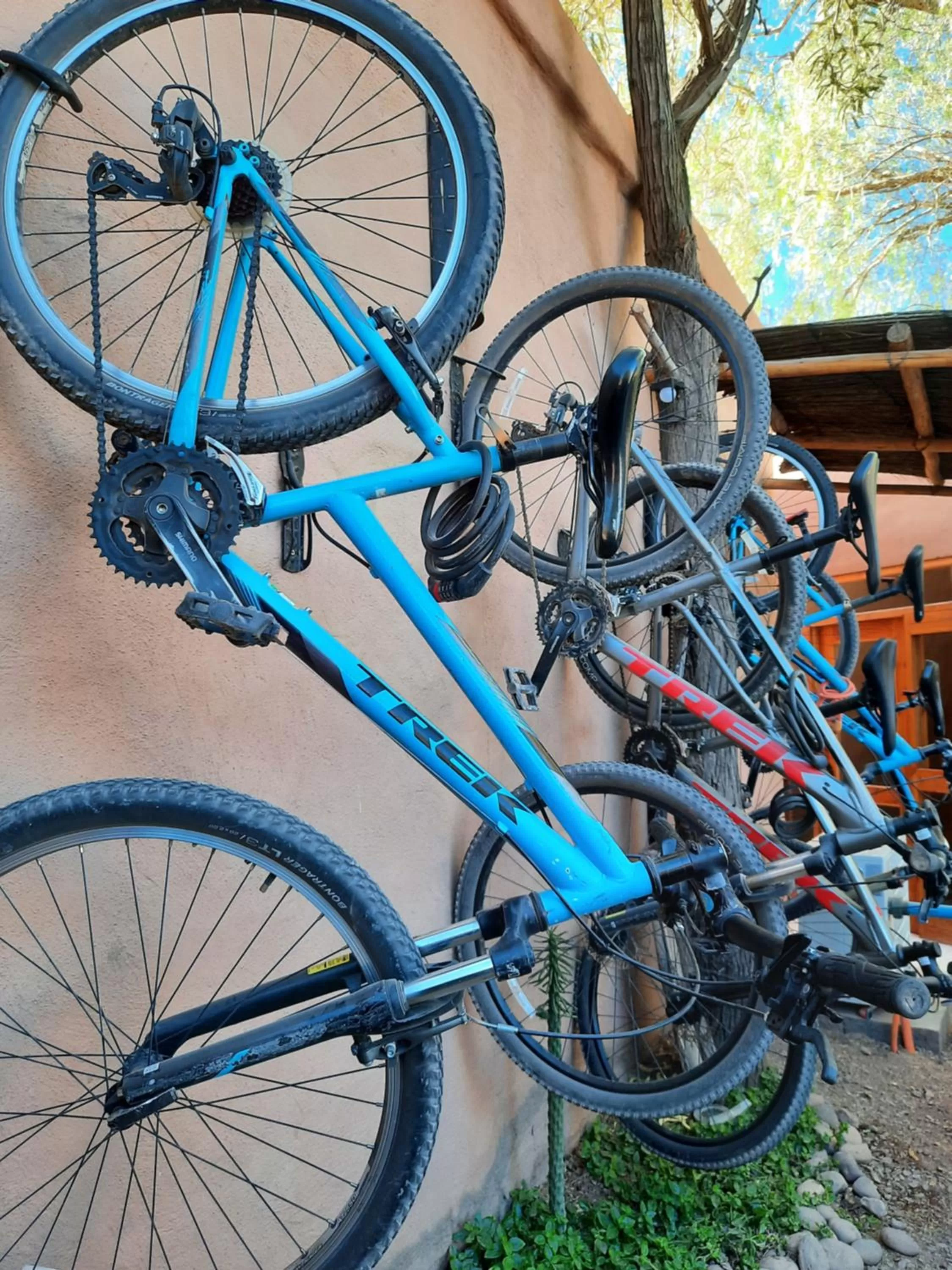 Cycling, Biking in Hotel Pascual Andino