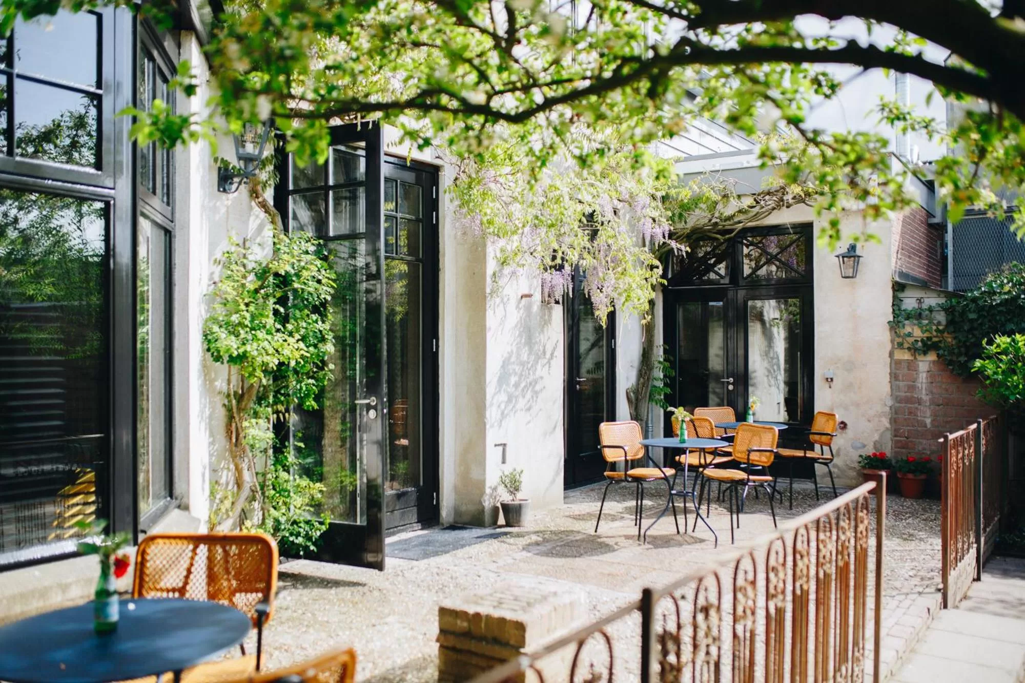 Garden in The Yard hotel Zuidkade