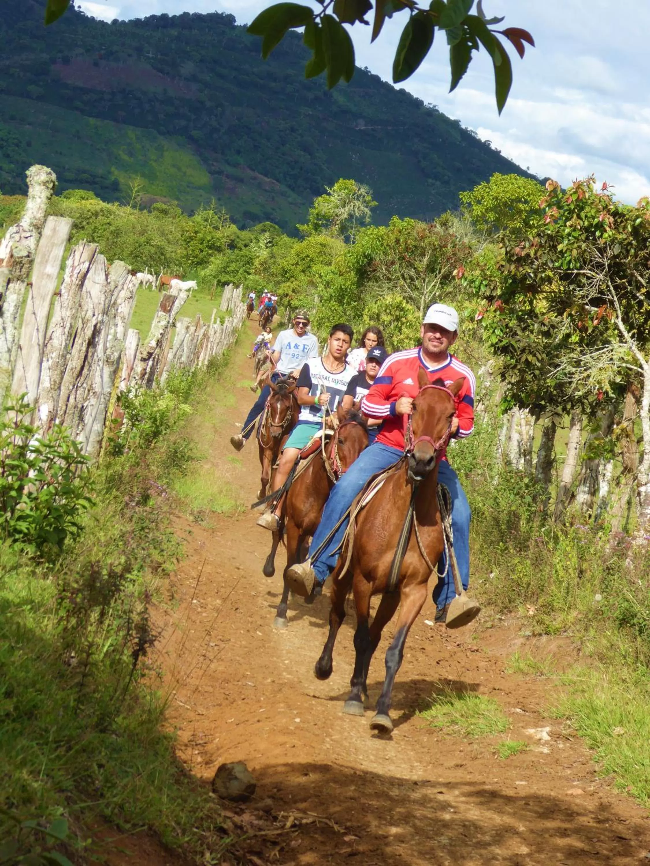 Horse-riding, Horseback Riding in Finca El Cielo