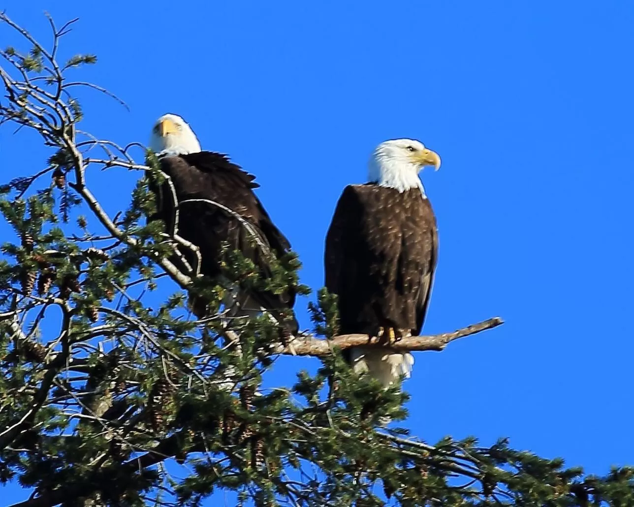 View (from property/room) in Glen Lyon Inn
