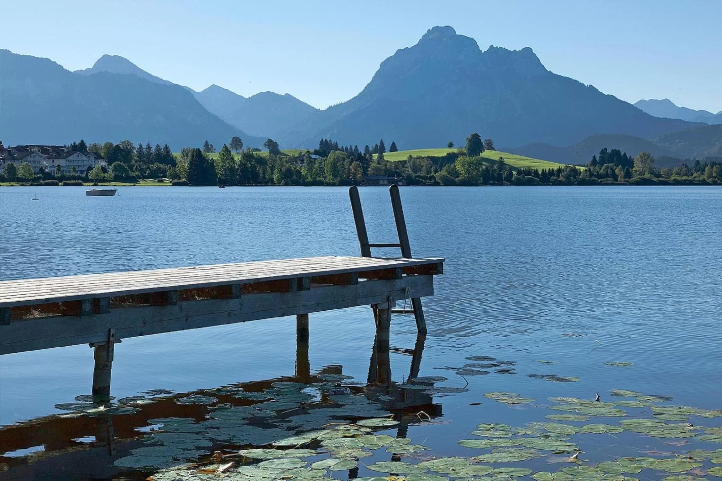 View (from property/room) in Residenz Hopfensee
