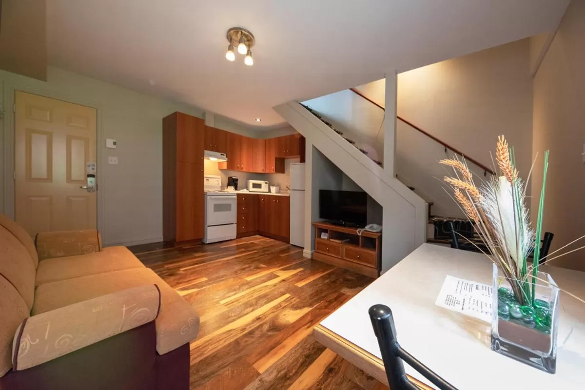 Photo of the whole room in Hotel Plante