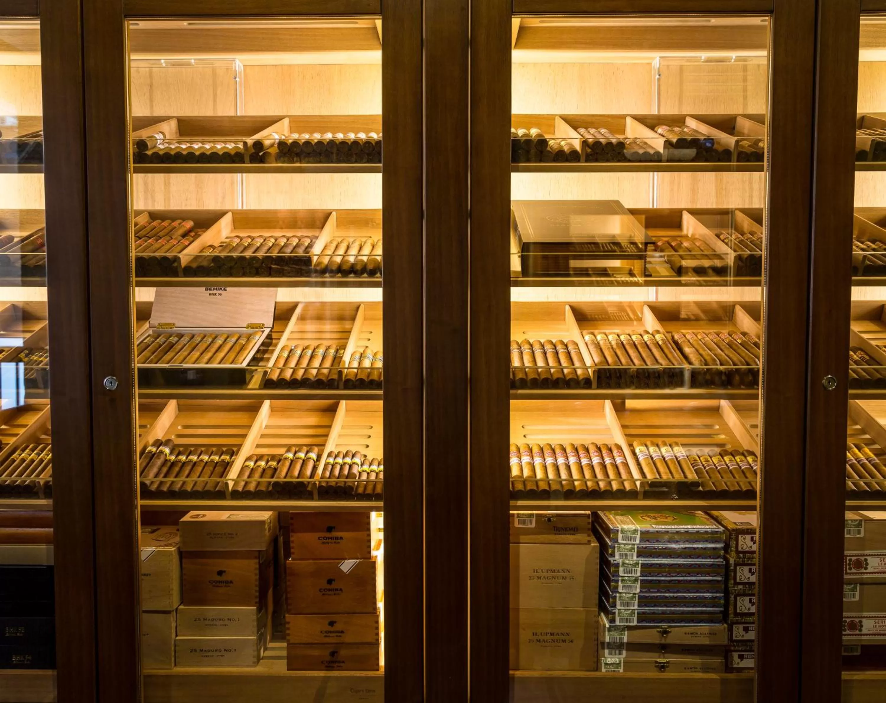 Area and facilities in Ten Manchester Street Hotel