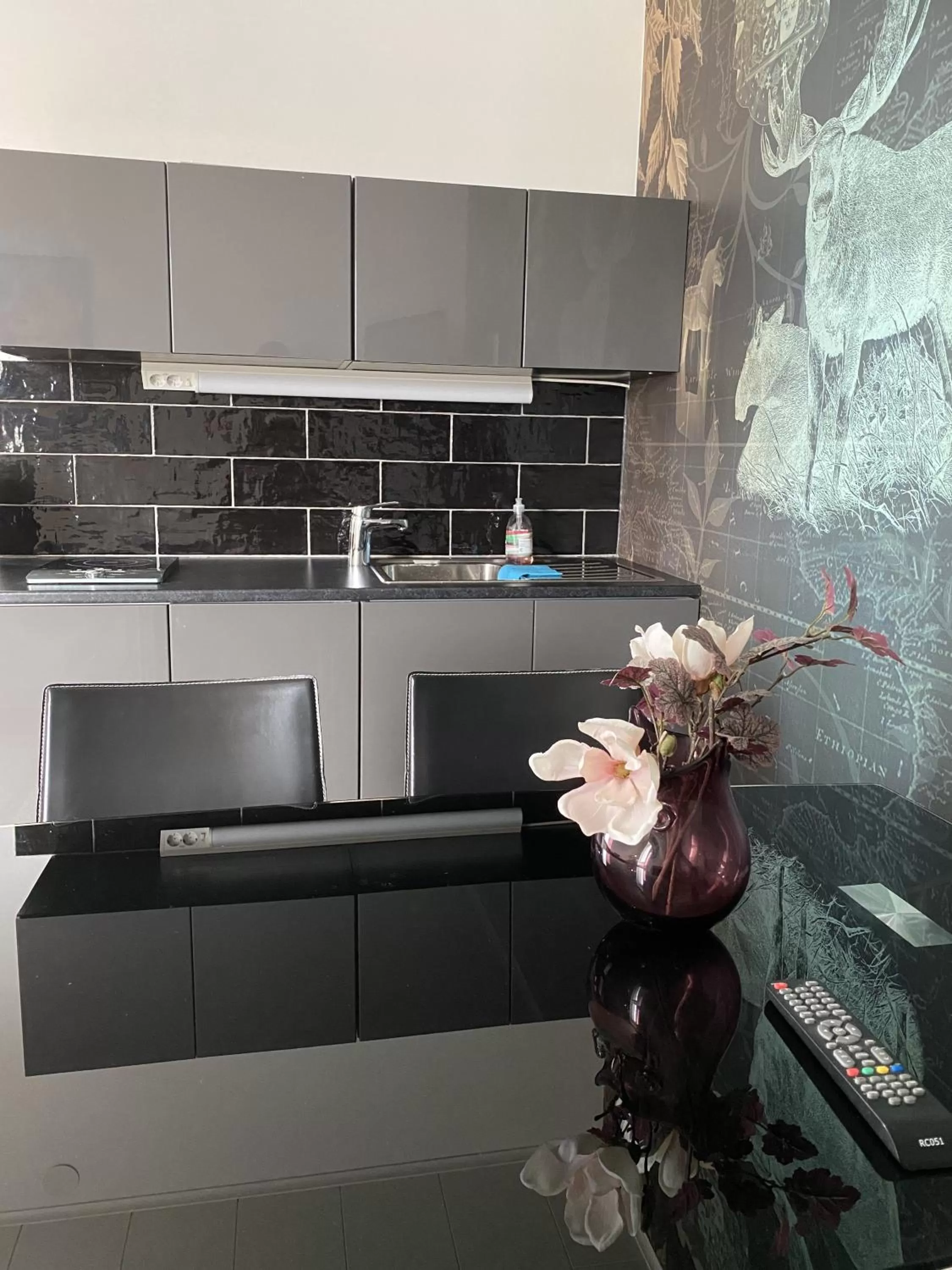 Kitchen or kitchenette in Strand City Hotel