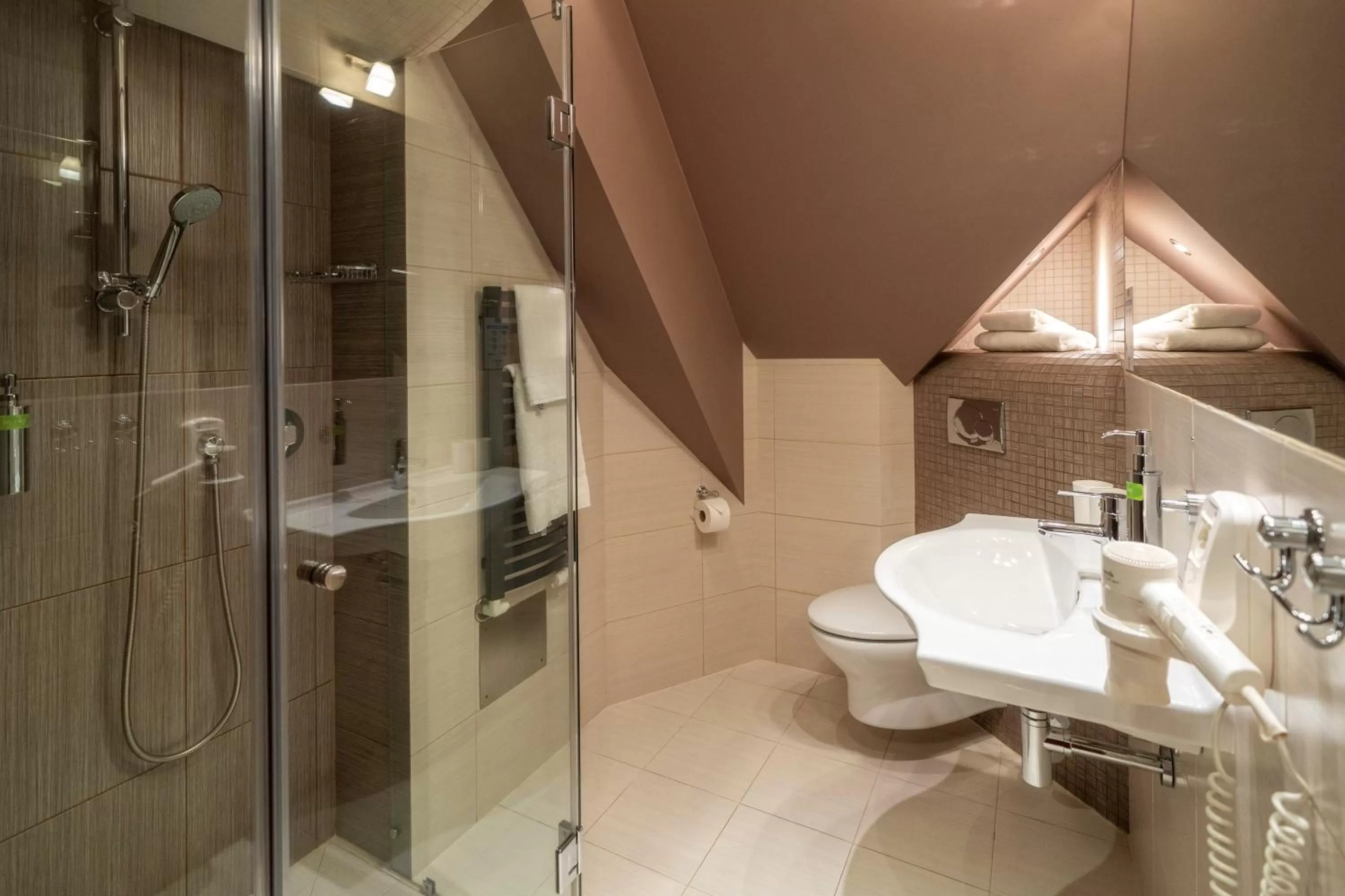 Toilet in Pokoje w Oberży Czarny Groń